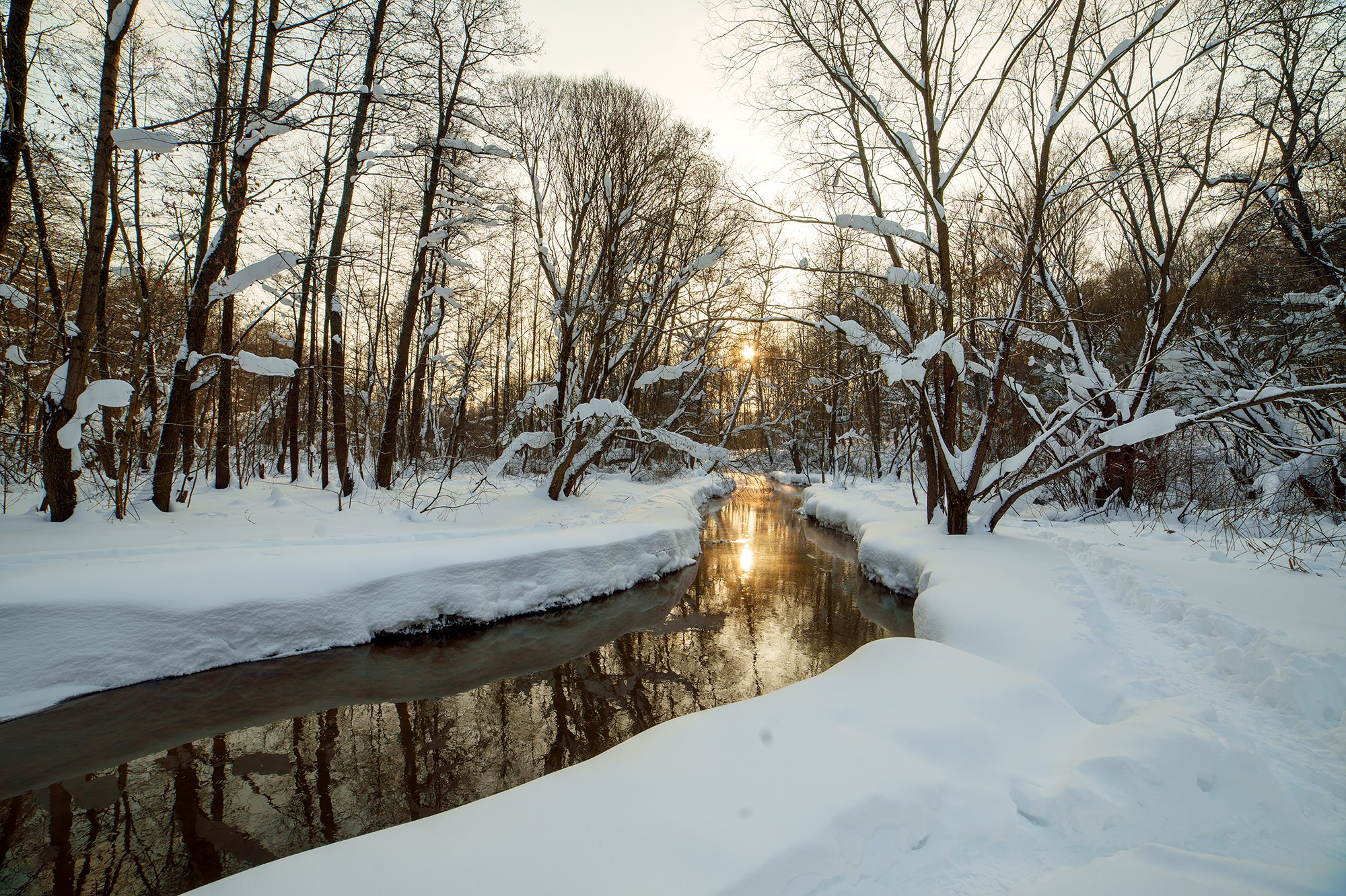 Природа. Ваш личный фотограф Марина Волкова