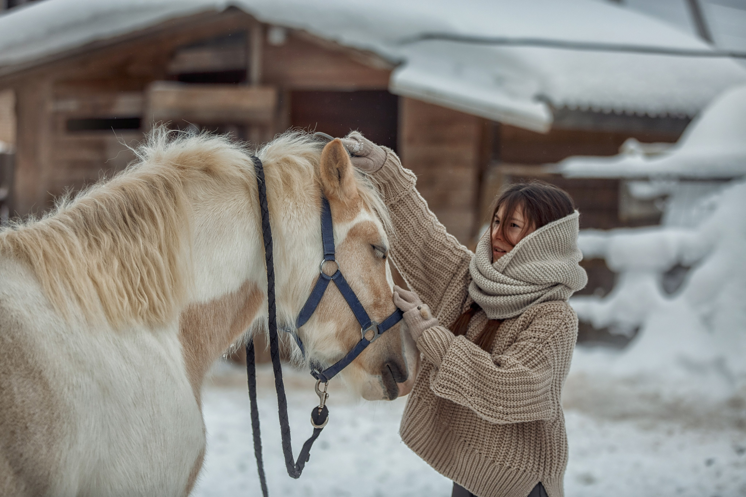 Детская конная съёмка. Детская Конная фотография в Москве Юлия Шепелева