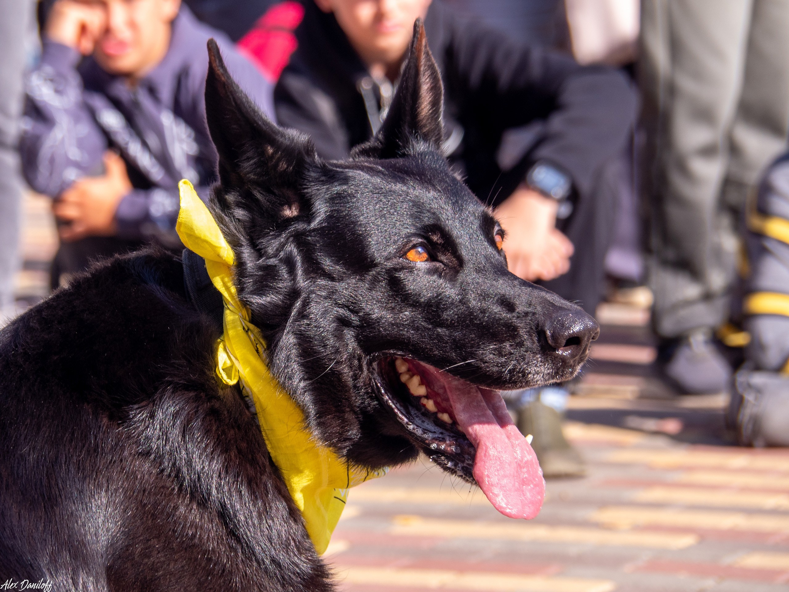 Обнимака 2025. Муром-Инфо. Новости культуры, образования, спорта в городе Муром