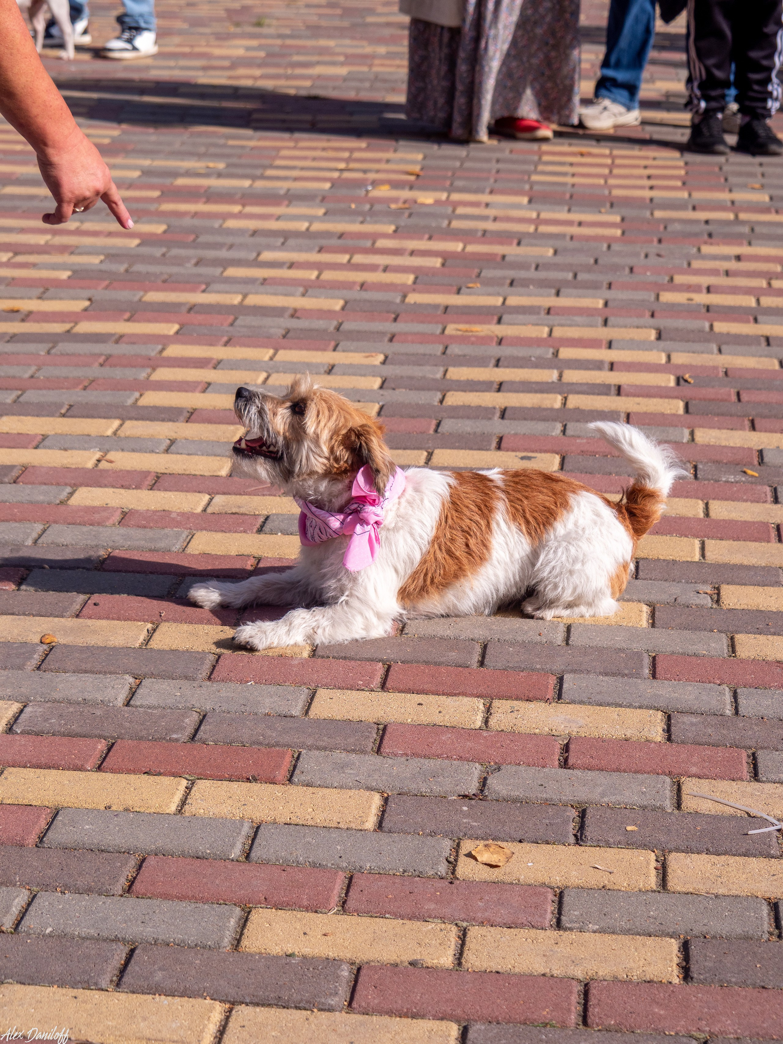 Обнимака 2025. Муром-Инфо. Новости культуры, образования, спорта в городе Муром