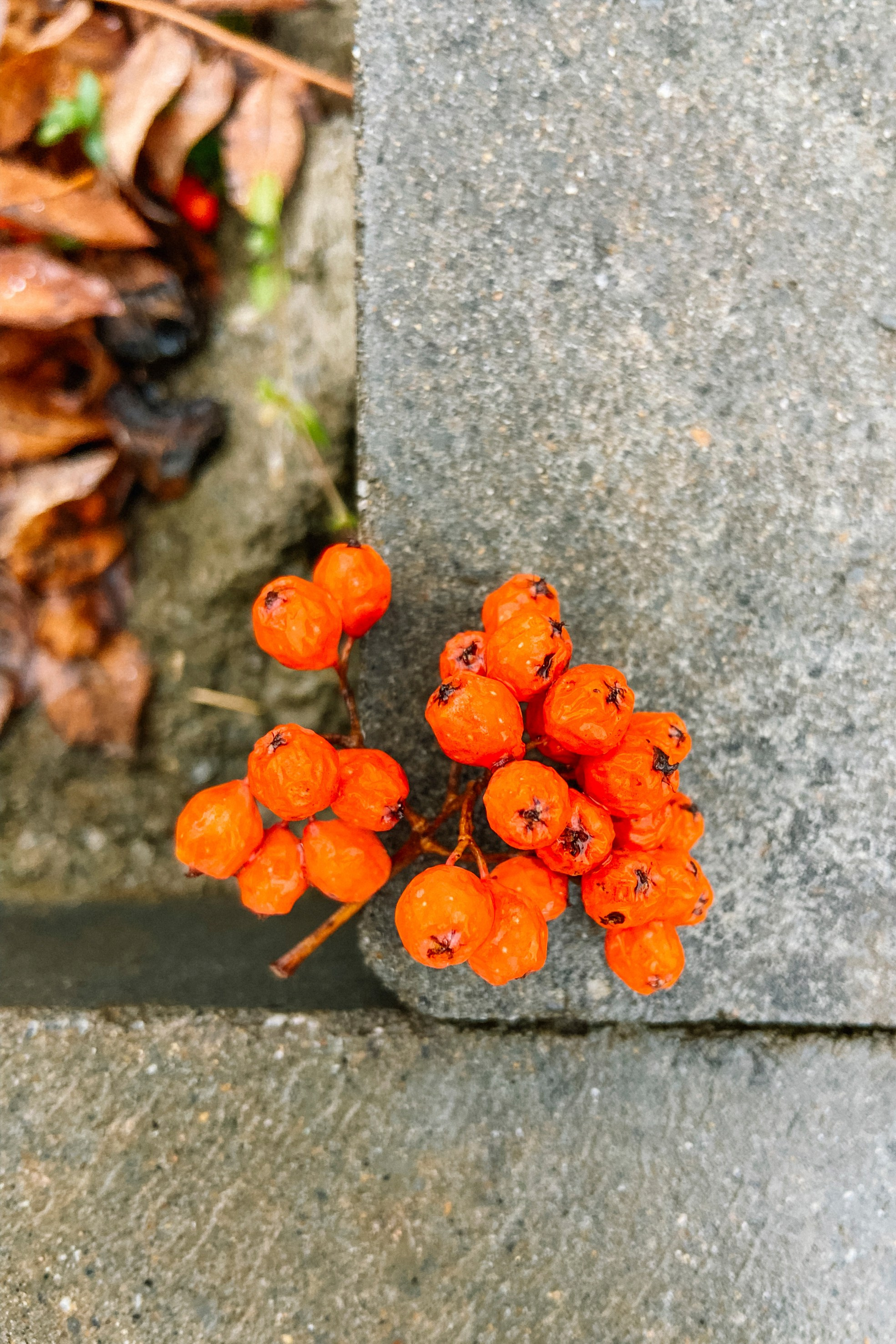 Природа. Команда фотографов Кристины Ивановой