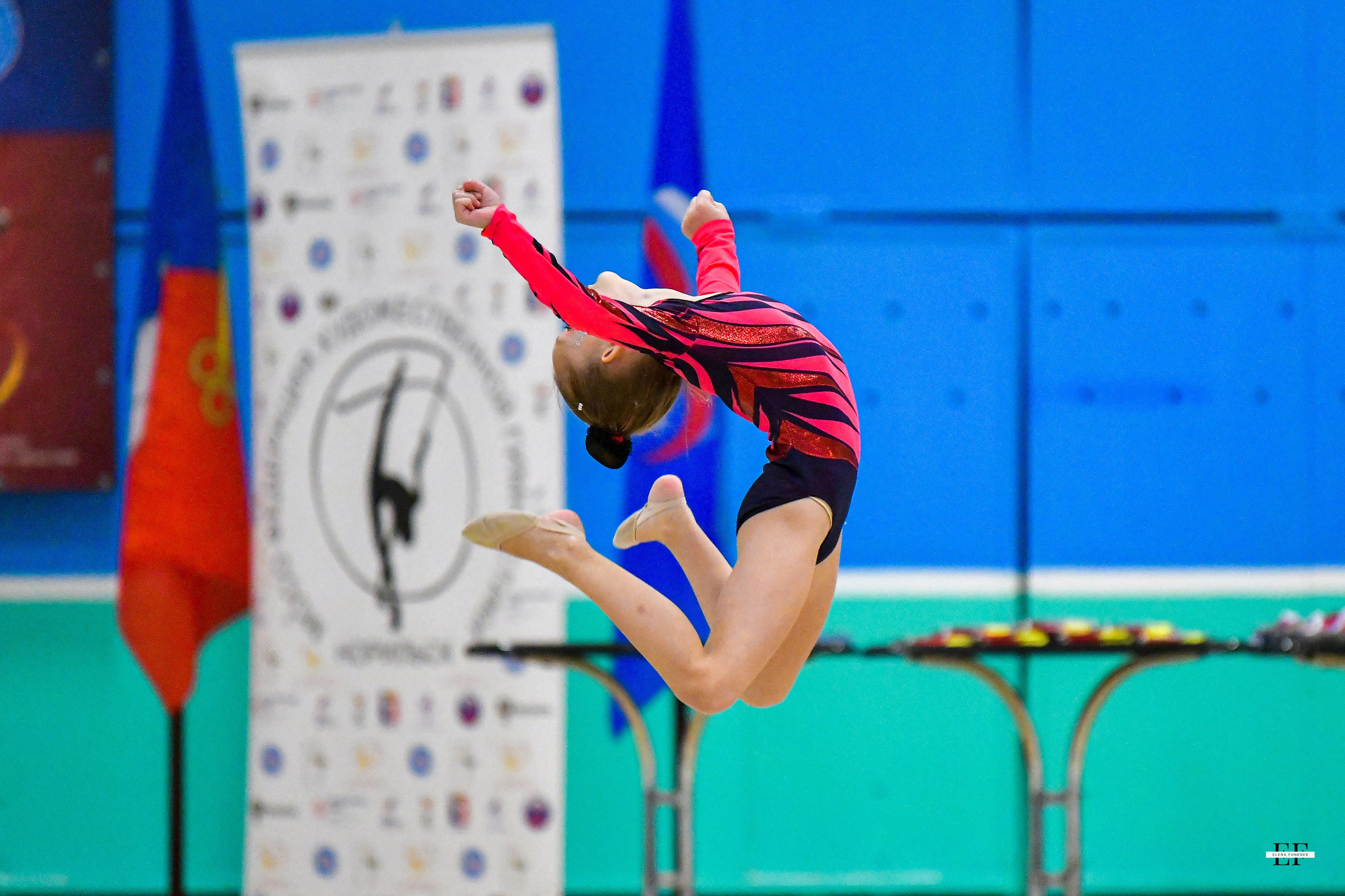 Фестиваль гимнастики «Северная грация» 02.11.2024. Свой взгляд через объектив