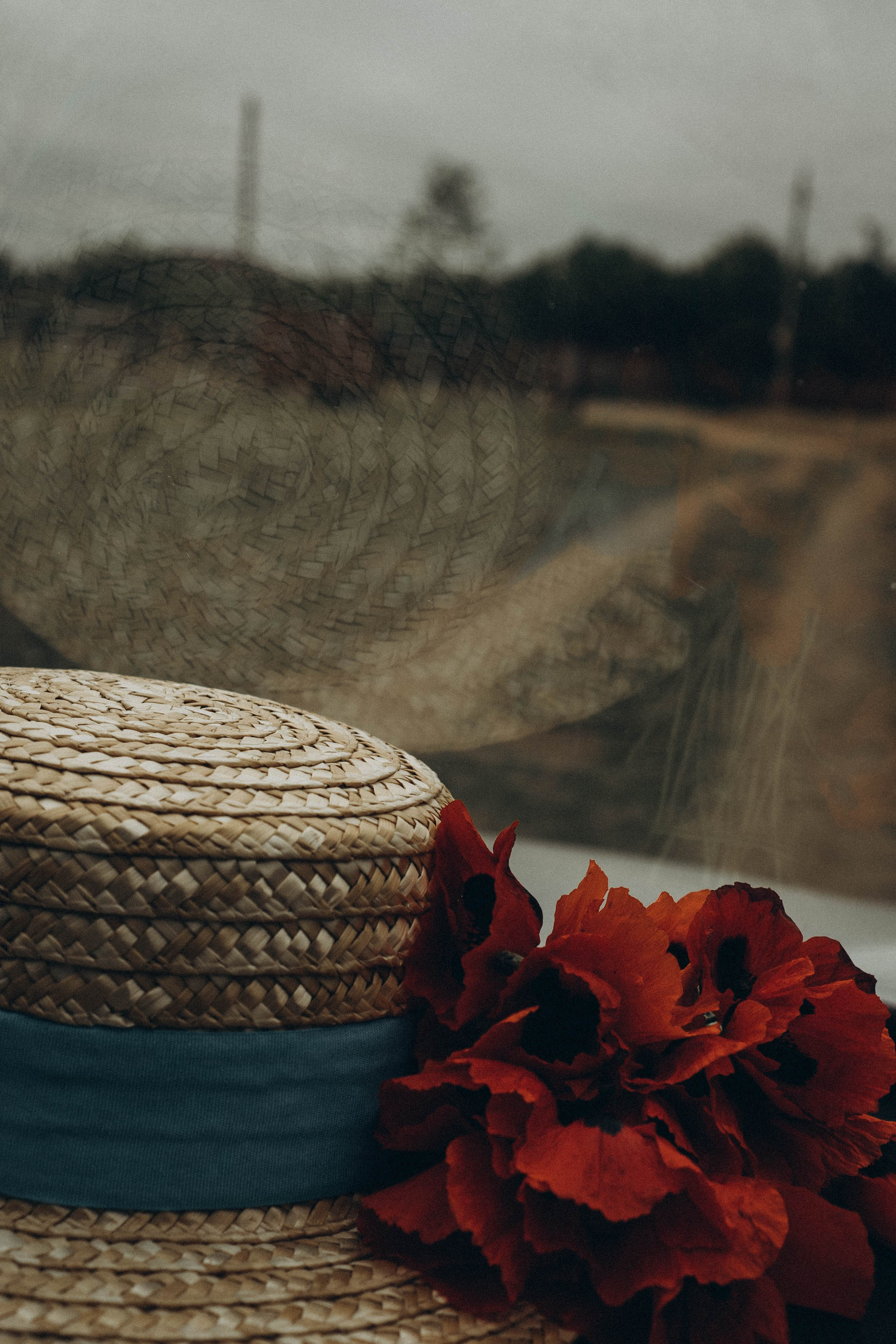 Кавказ. Профессиональный фотограф, Санкт-Петербург — Виктория Богомолова