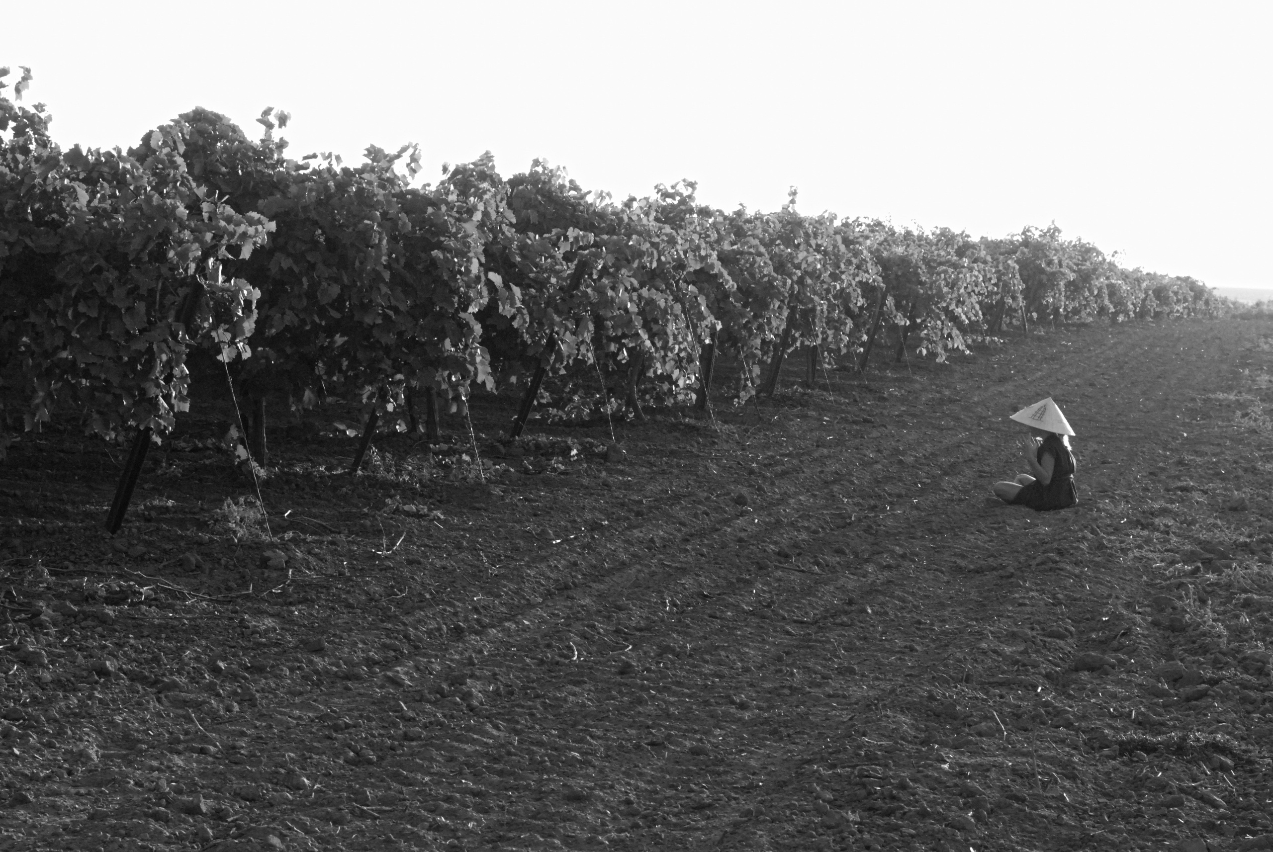 Таманский полуостров.Фотопрогулка виноградник.Арина. Индивидуальная и Семейная Фотосъёмка для каждого