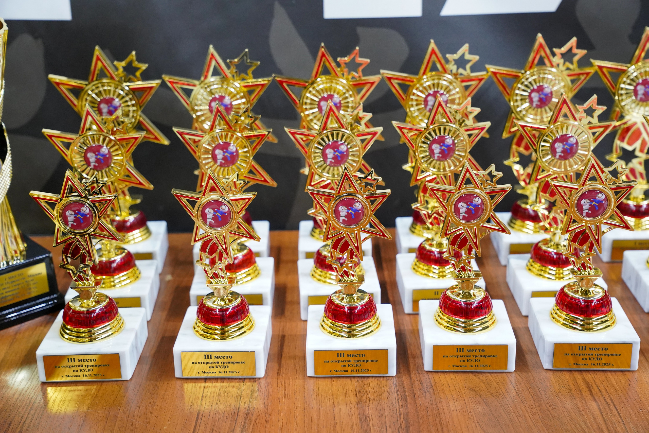 XXXII ЧЕМПИОНАТ И ПЕРВЕНСТВО МОСКВЫ ПО КУДО. «Студия DRONAVT`s» — видеосъёмка и фотография г. Москва