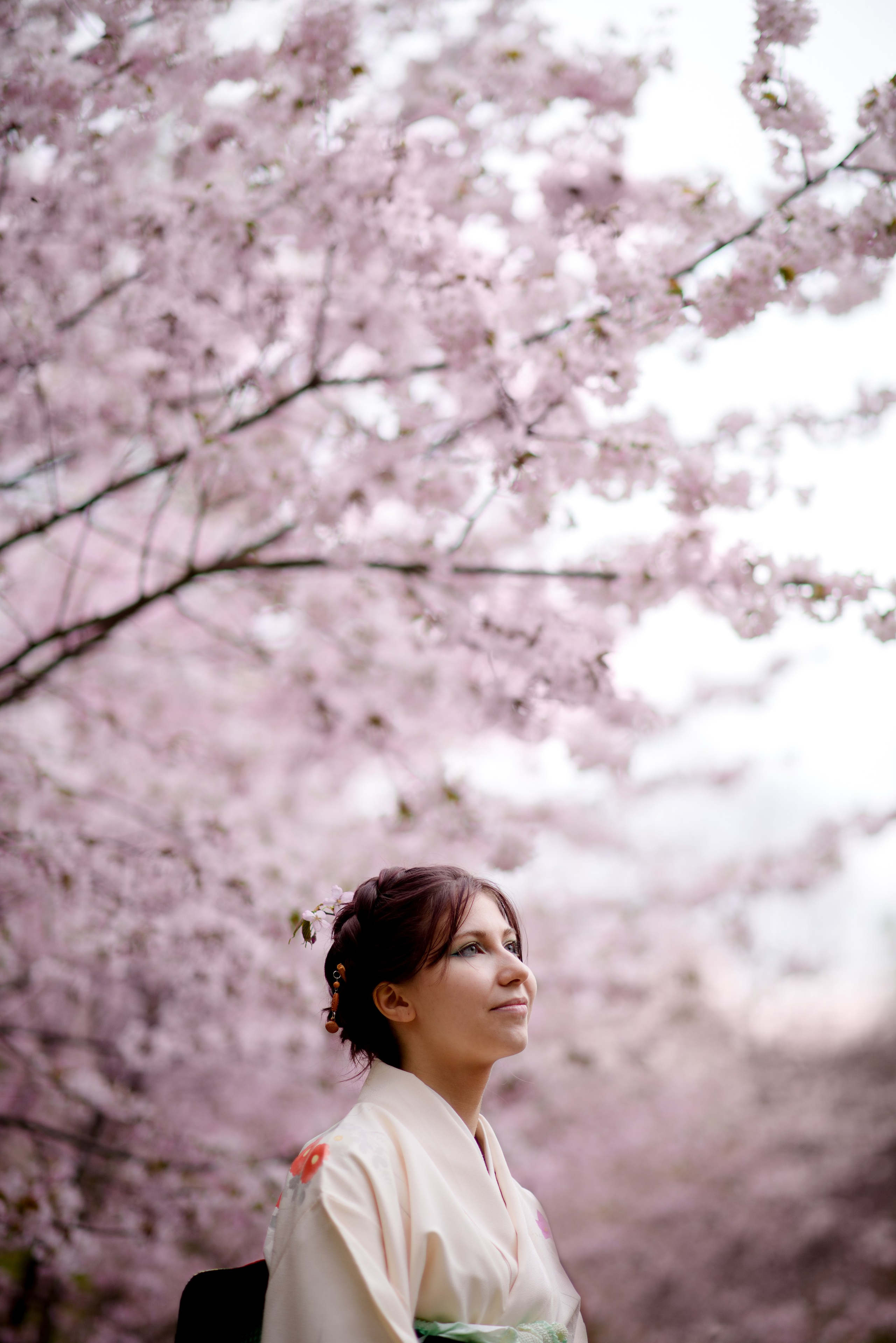 Любование сакурой в Бирюлевском дендропарке. Главная