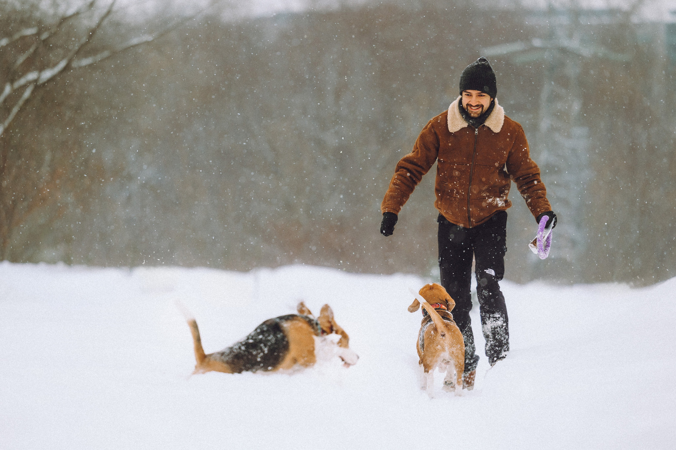 Роман, Портер и Коррес