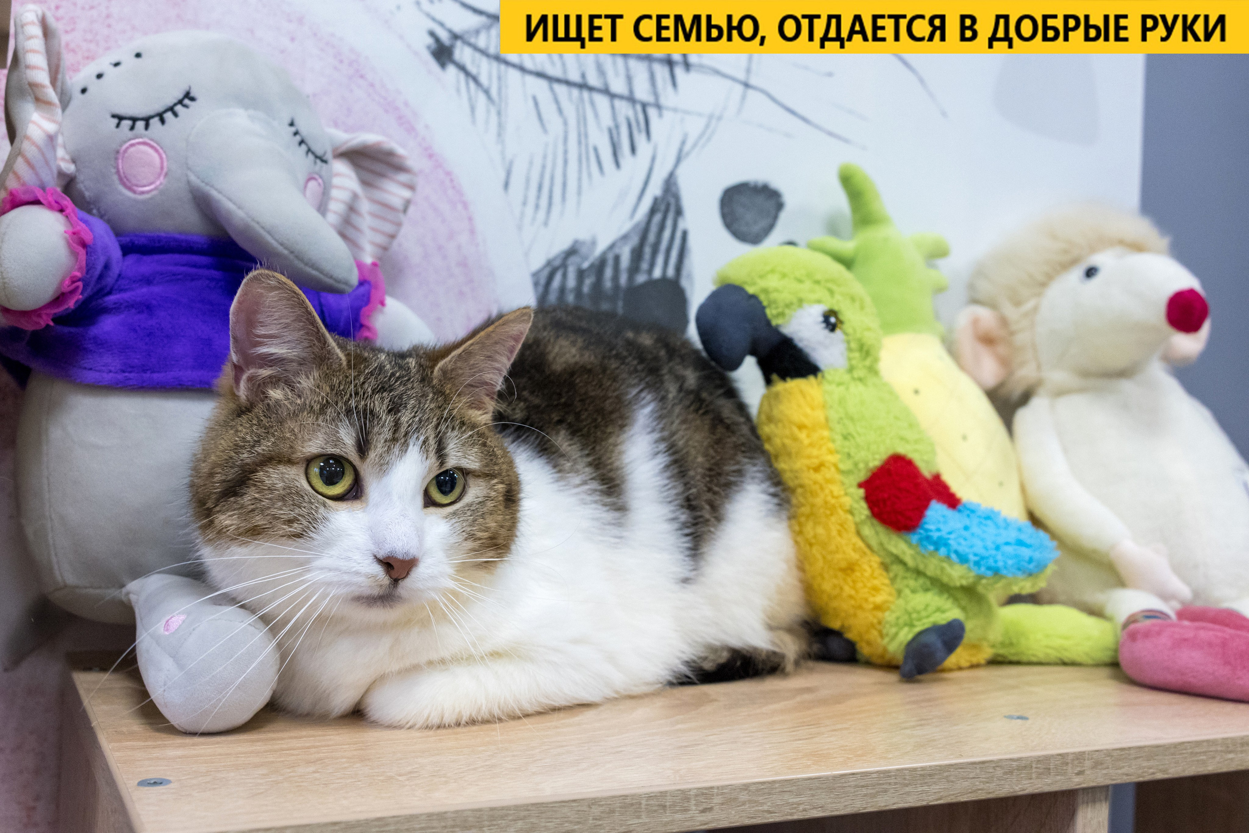 Рекламная съемка в Москве. Геннадий Степанов —фотограф в Москве