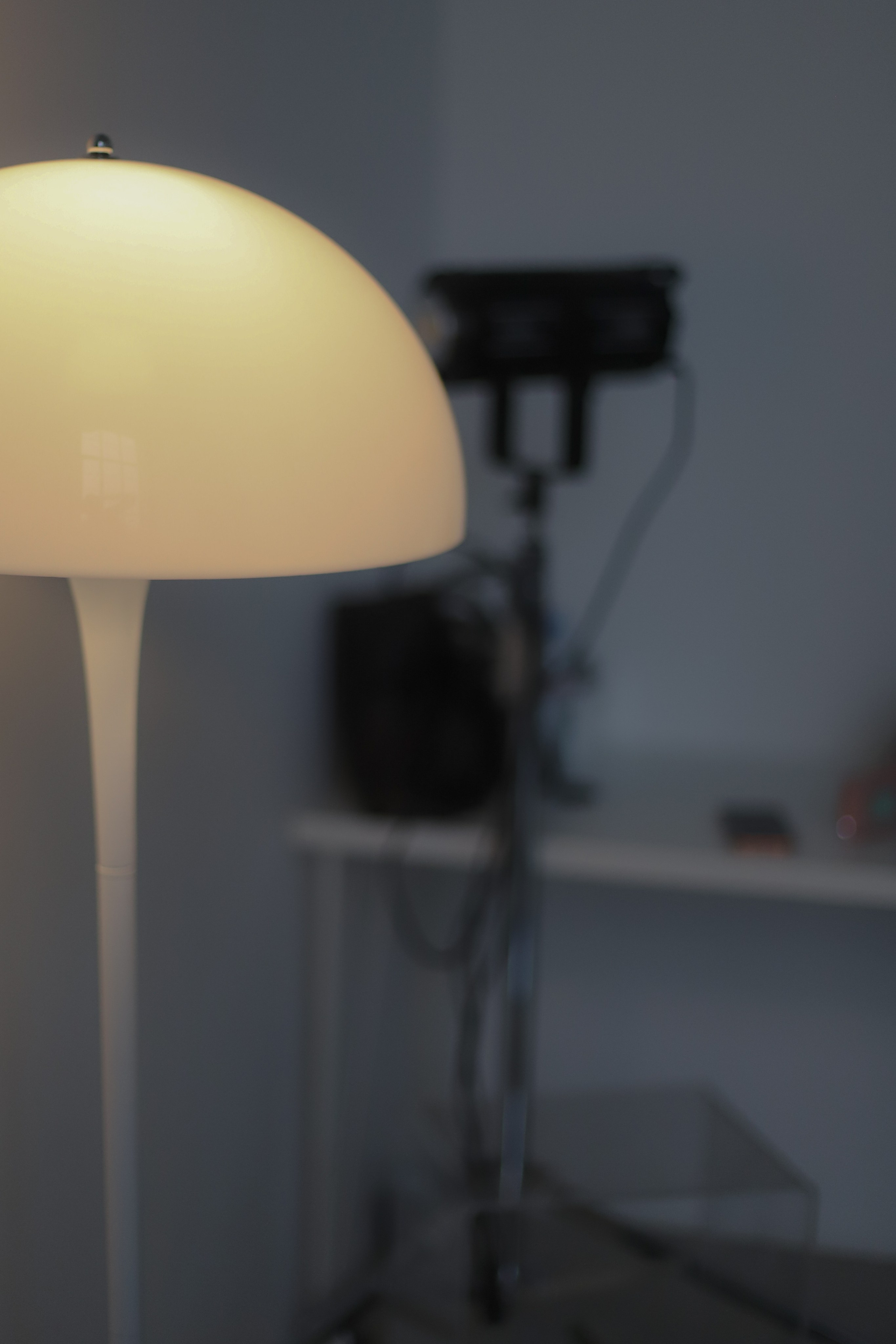 Студийная съёмка. 22.11. Фотограф Даша Шпаковская