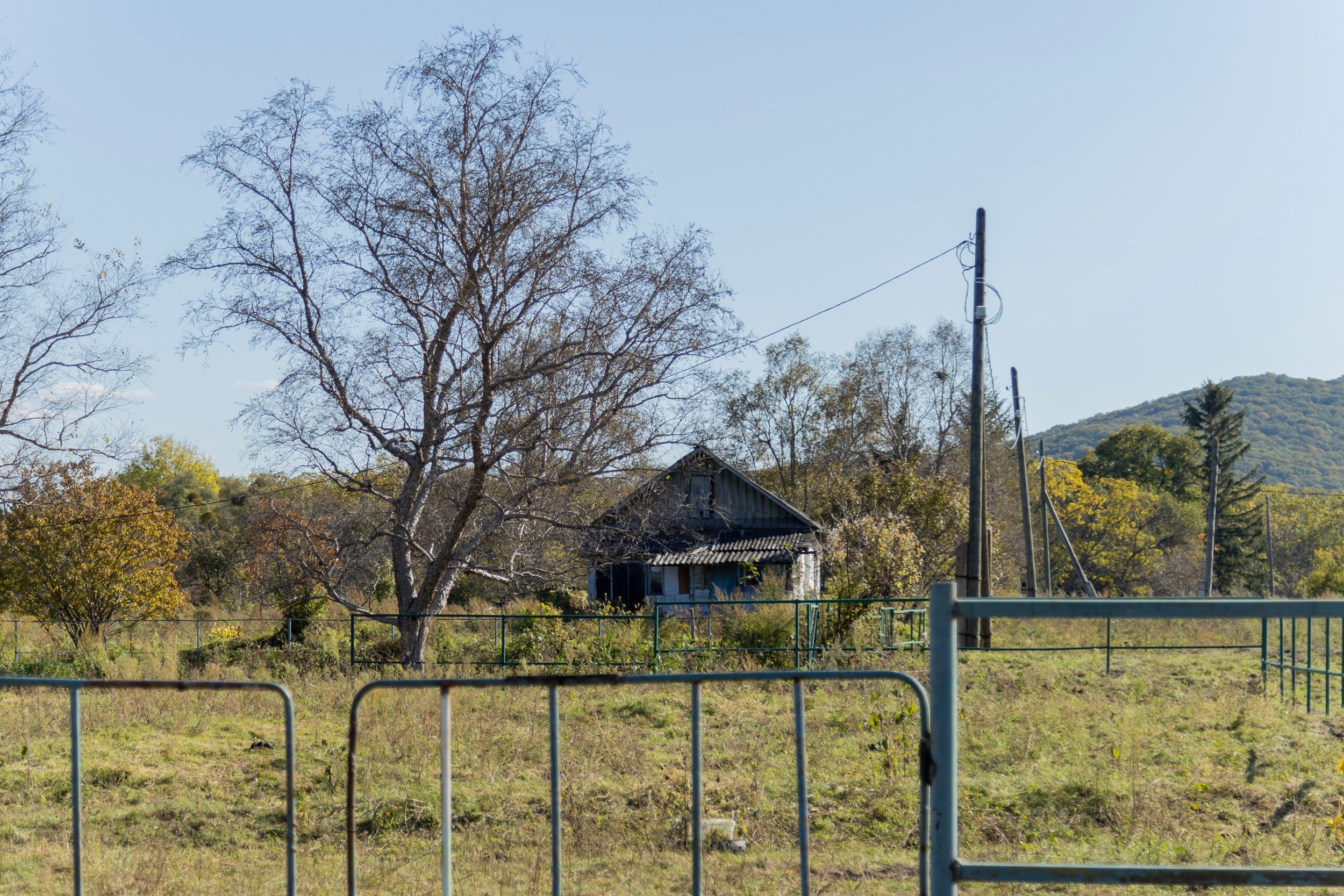 Фестиваль «Большой пикник», репортаж для ASAP Speedcubing. Репортажный и портретный фотограф в Владивостоке