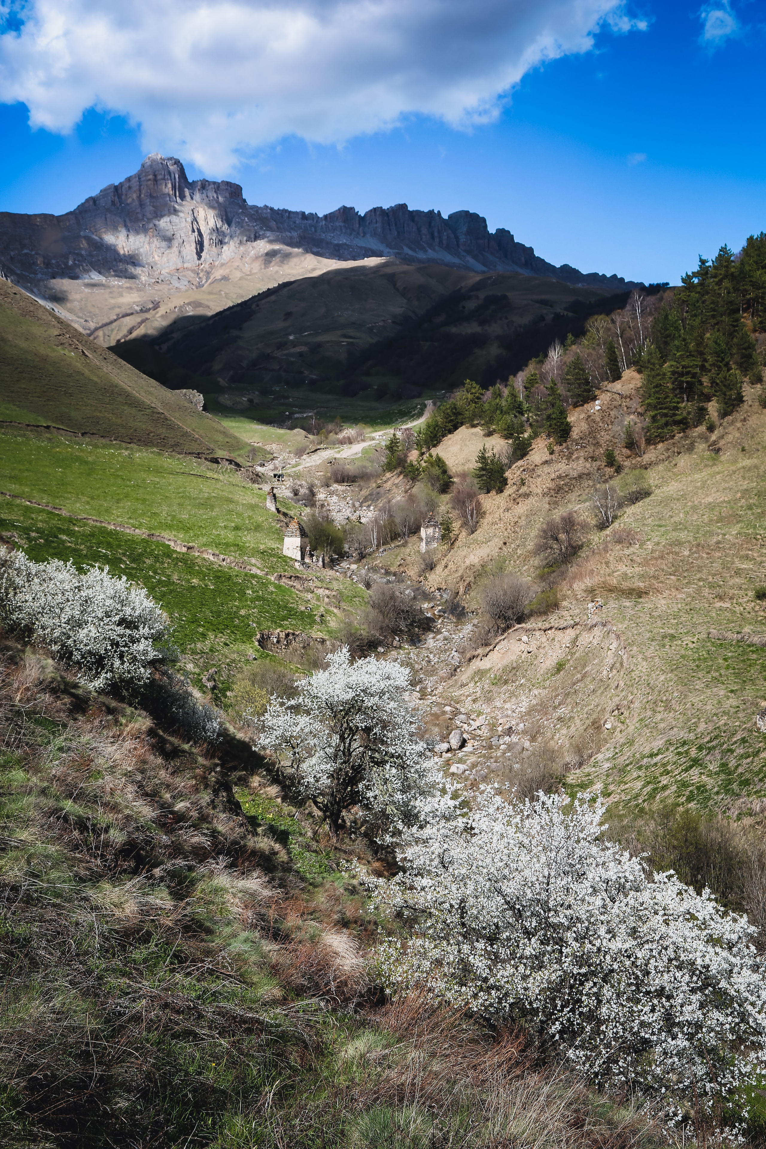 Кавказ: Ингушетия — страна башен. Дарья Письменюк / Darya Leitstern — фотограф, музыкант, журналист, путешественник