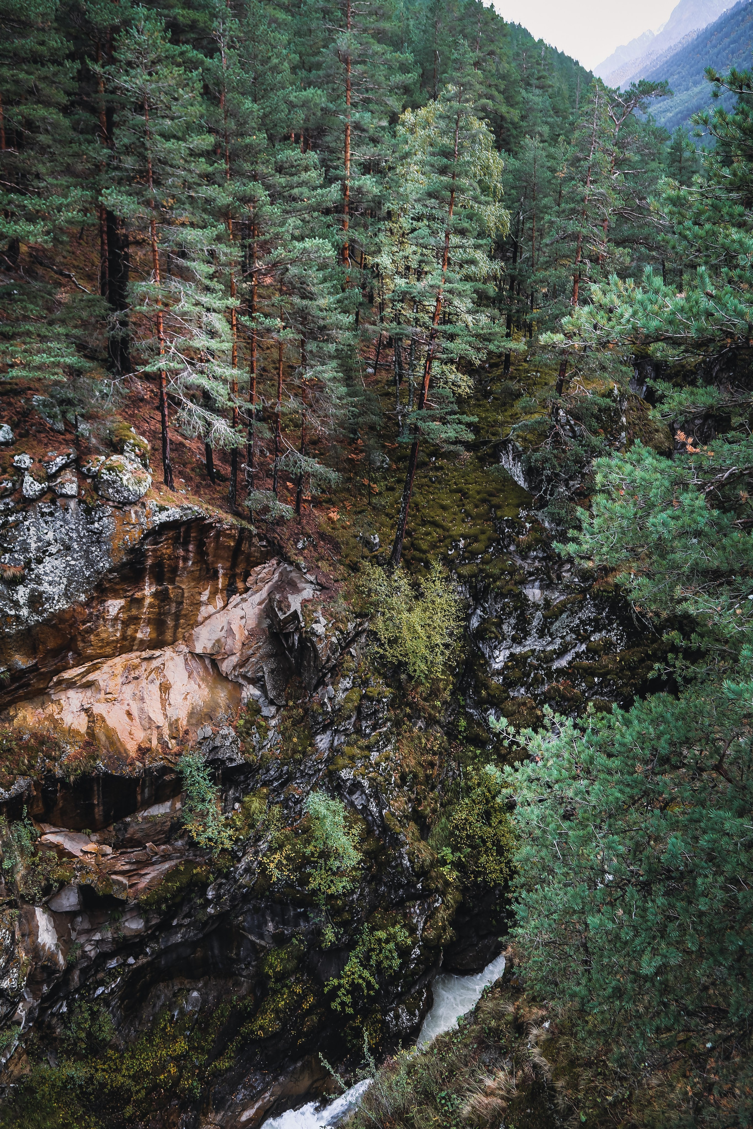 Кавказ: Кабарда vs. Балкария. Дарья Письменюк / Darya Leitstern — фотограф, музыкант, журналист, путешественник