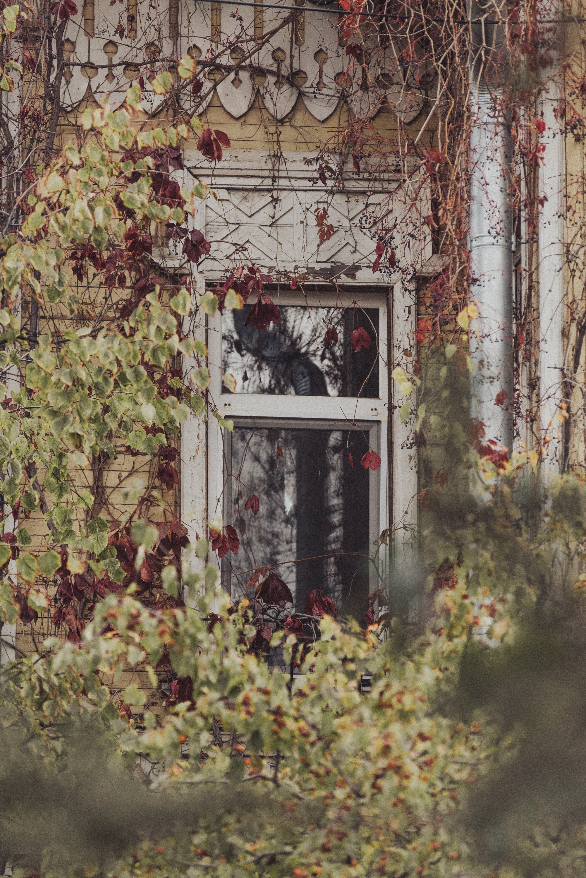 Проект #улицыгорода. Ярославль, ул. Республиканская. Документальный фотограф Илья Тихановский