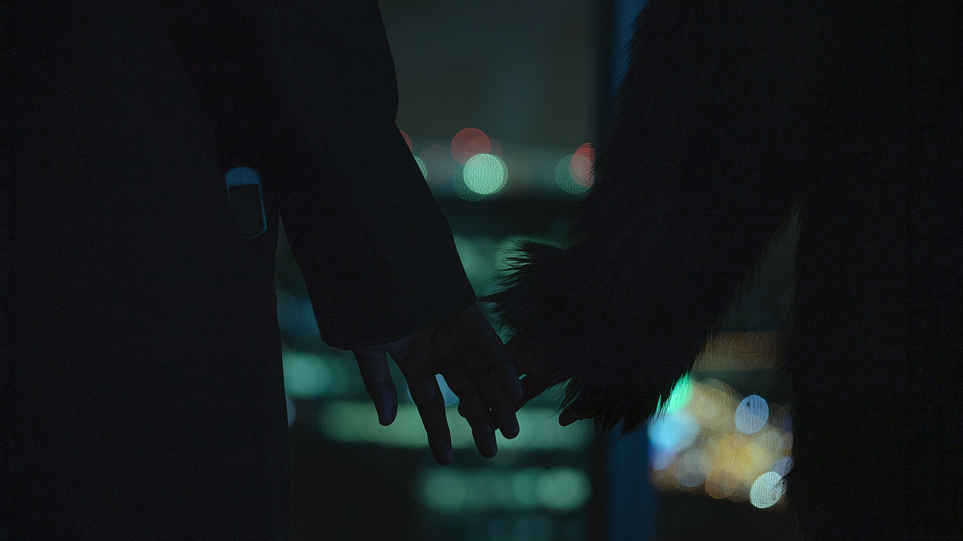 Fight club. Barabaka.jpg | photographer Dubai