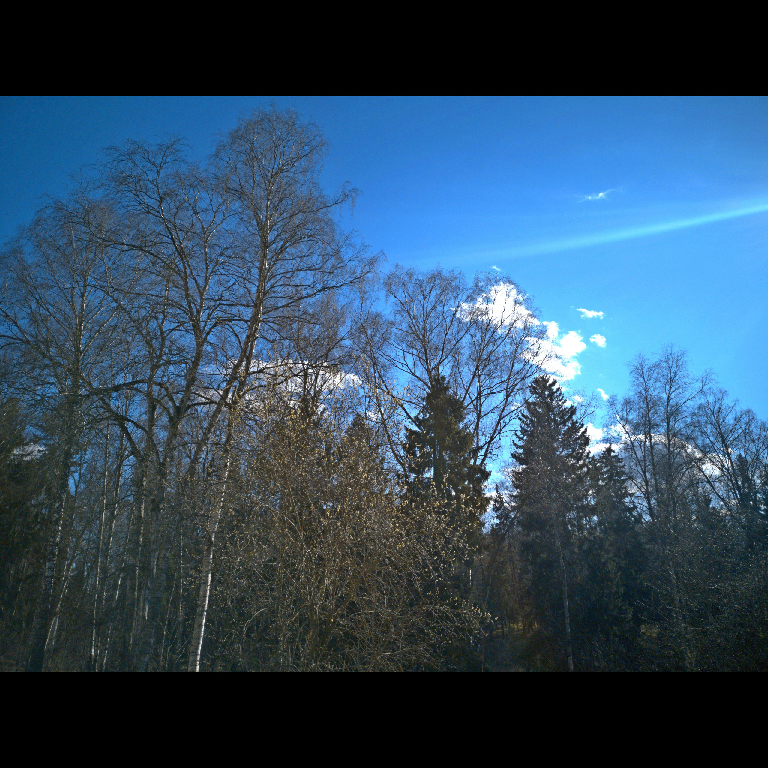 Фотоальбом с разными съёмками