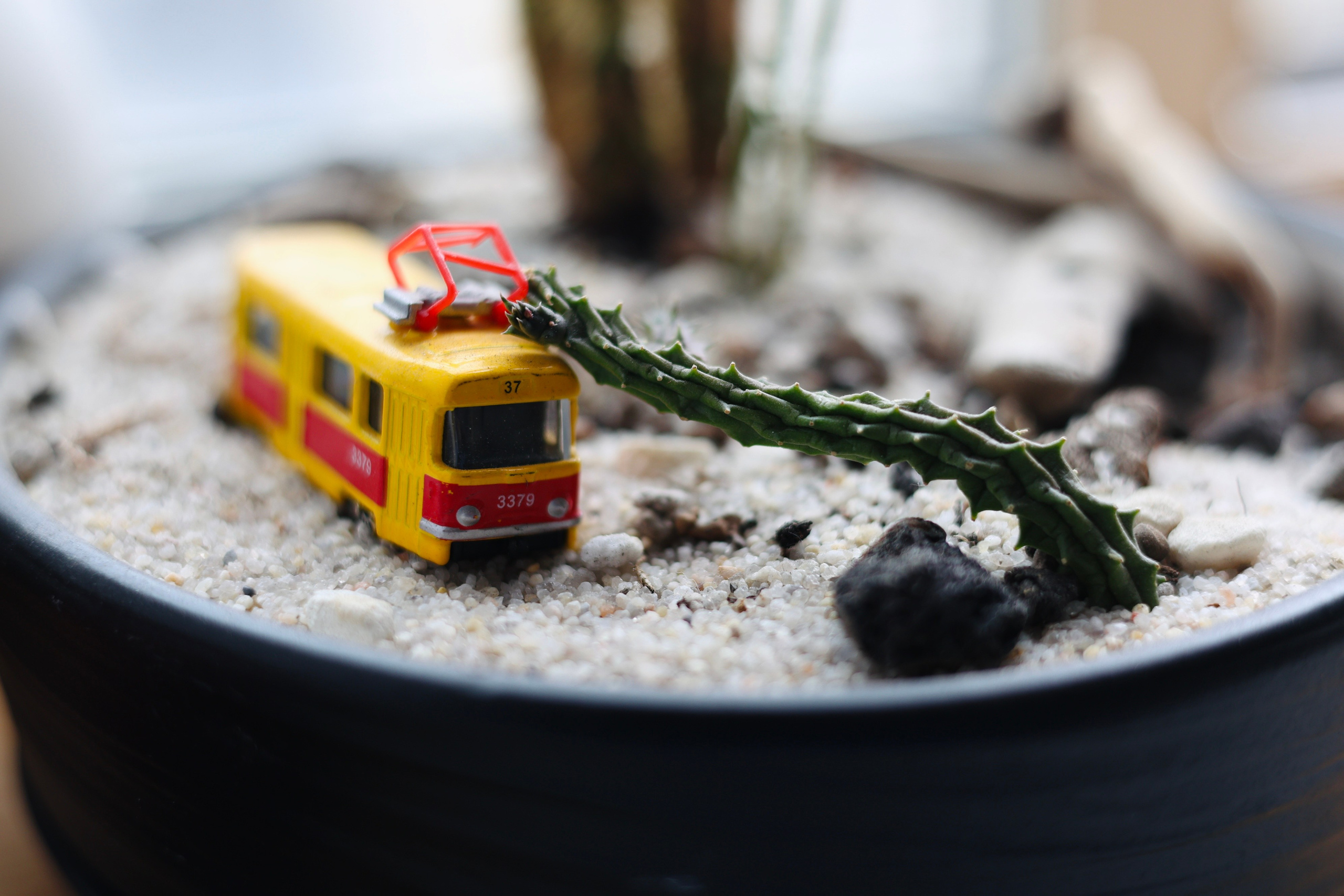 Марина Алтухова. Художница. Репортажный фотограф Наталья Лапцевич