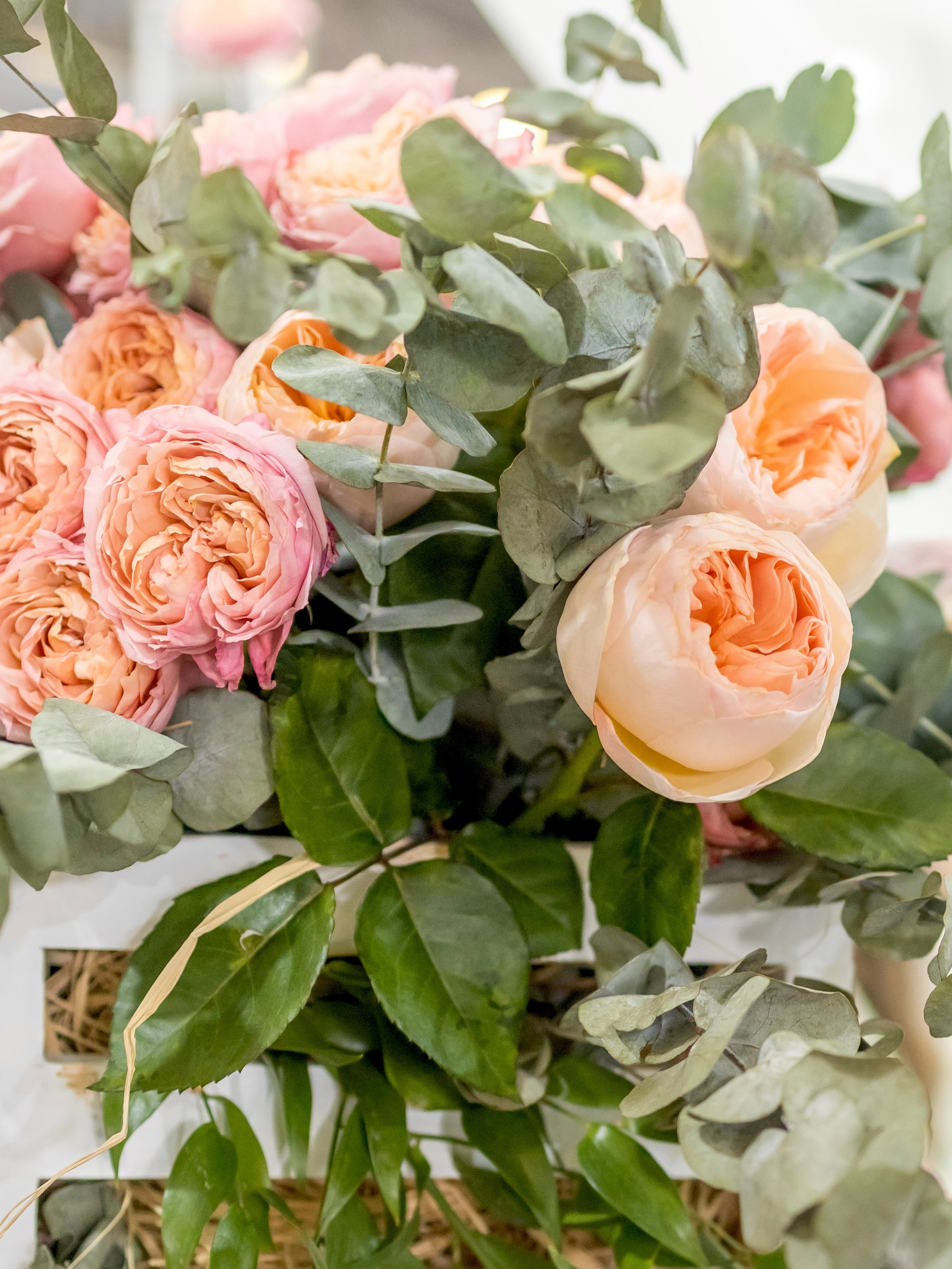 Цветы-Экспо 2024. Фотосессии и репортаж — Фотограф в Москве — Рина Серёгина