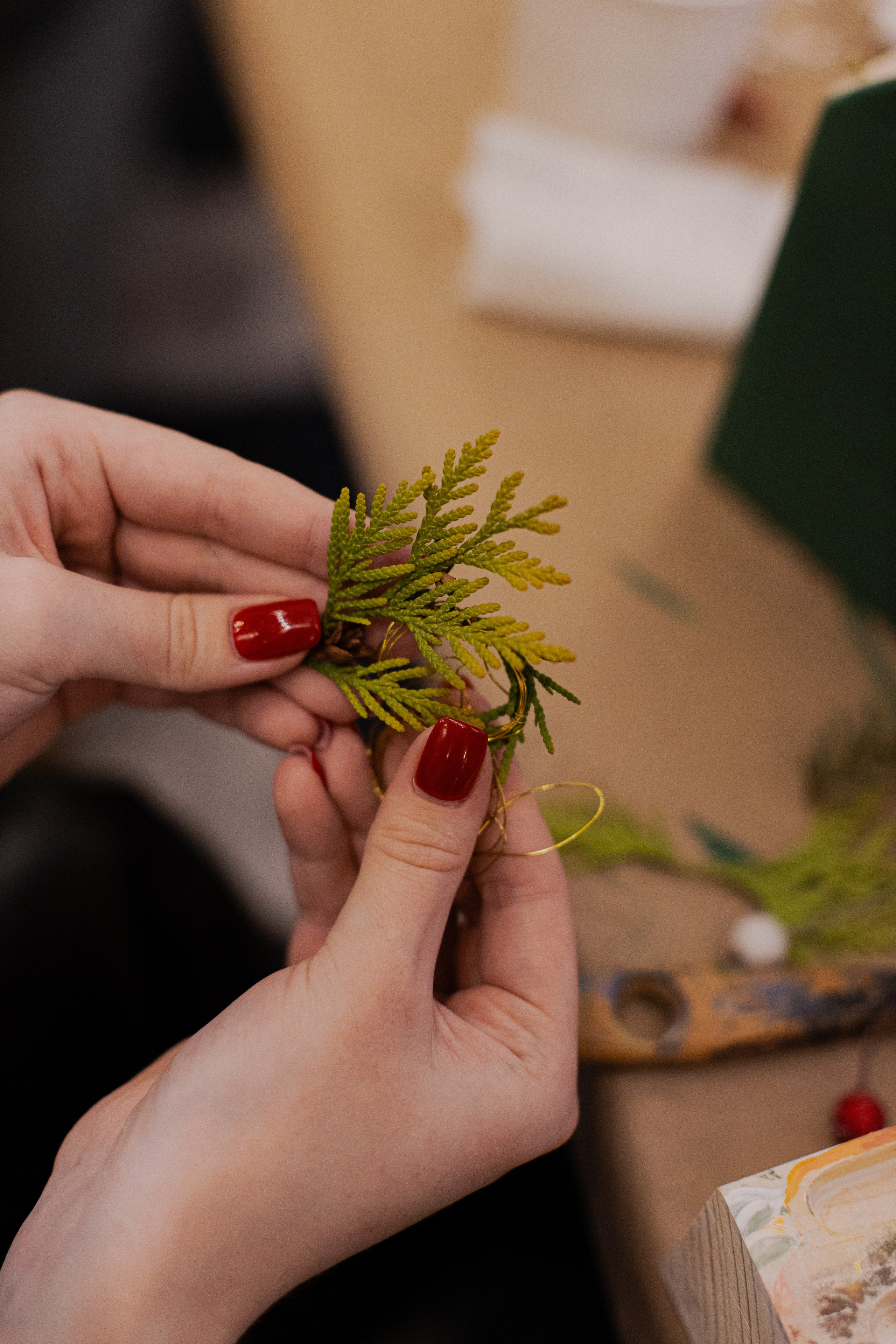 МК Домики. Анастасия Ракчеева Художник