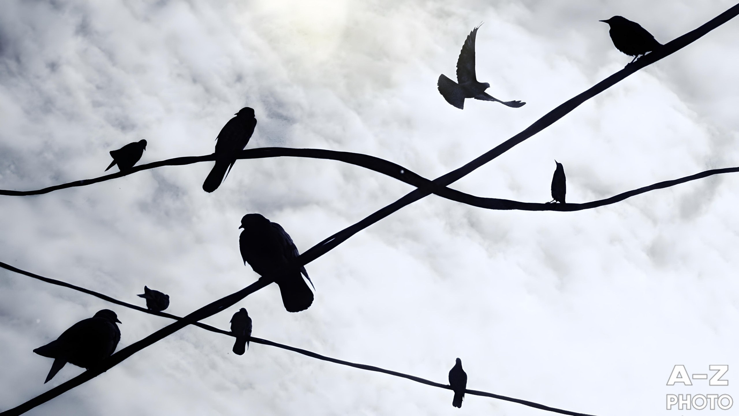 AZакадром «В поисках красного». Женский семейный фотограф Тула Москва Захарова Анна