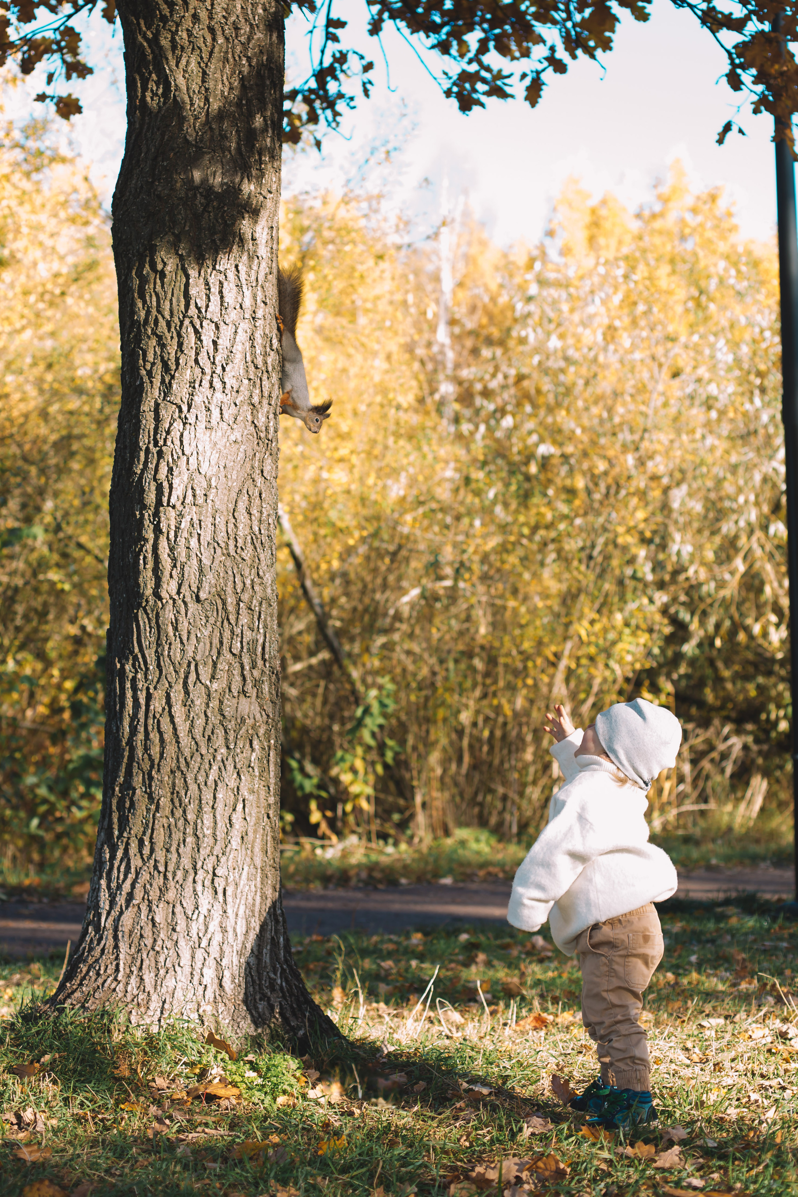 Осень в парке. Семейный и детский фотограф в Санкт-Петербурге Тамара Нечаева
