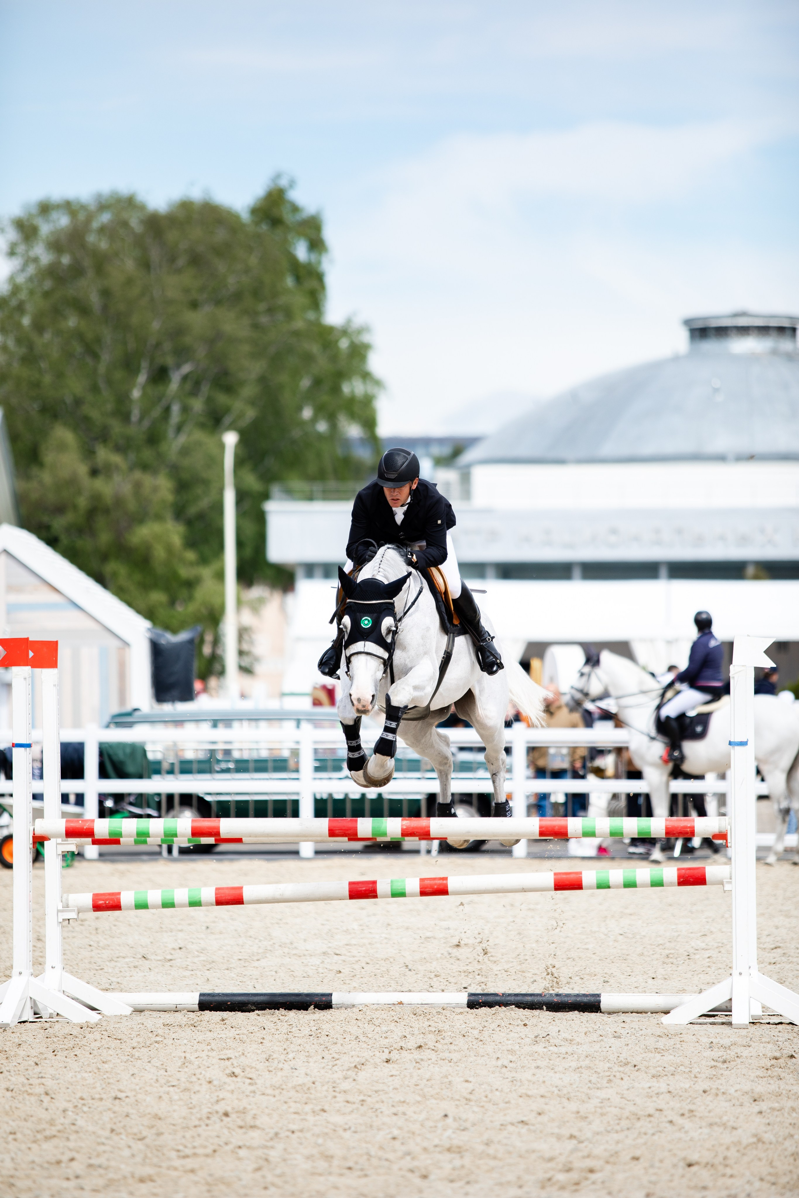 Турниры. Veronika Makeeva horse photo