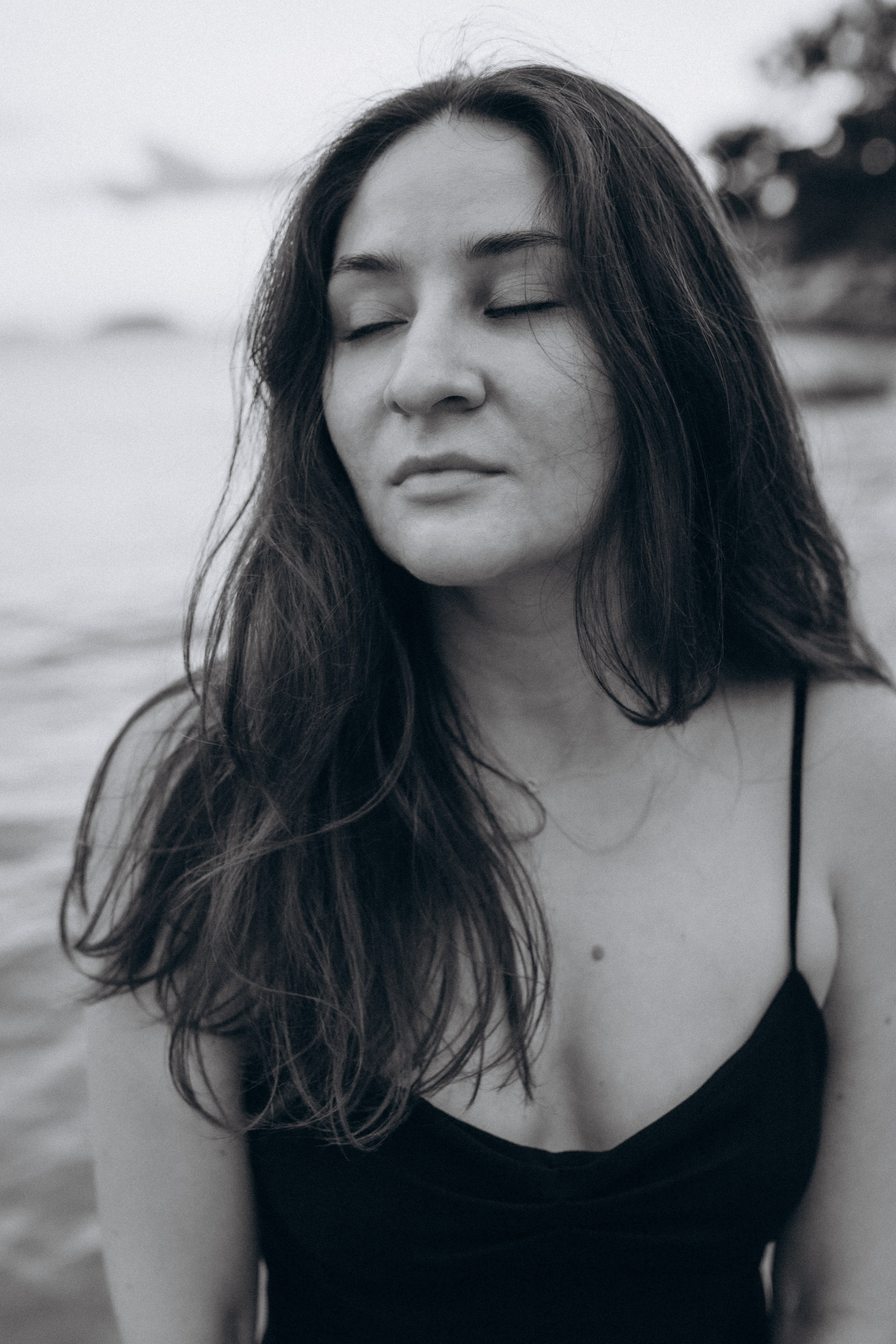 Лилия «сад камней» Вьетнам. Главная