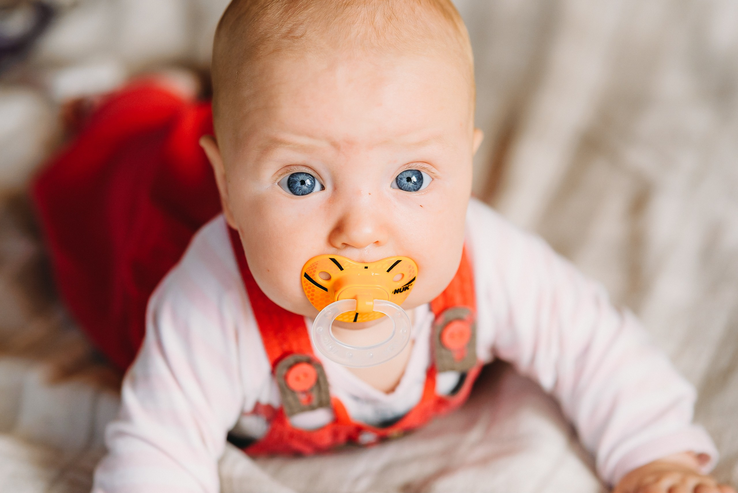 Дачная история. Свадебный и семейный фотограф в Минске Филиппович Александр