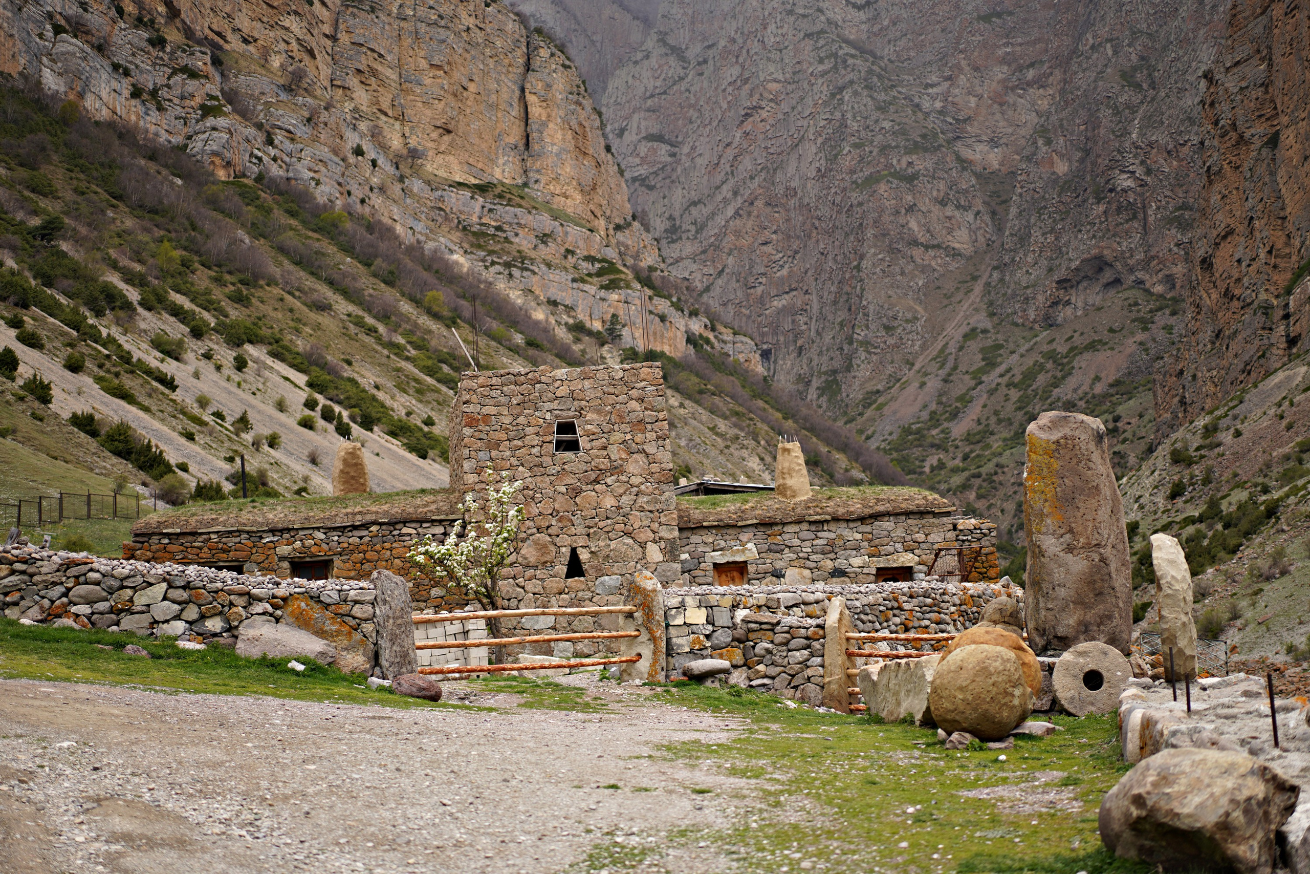 Природа и животные. Творческий фотограф Ирина Баландина.  Санкт-Петербург, Мурманск