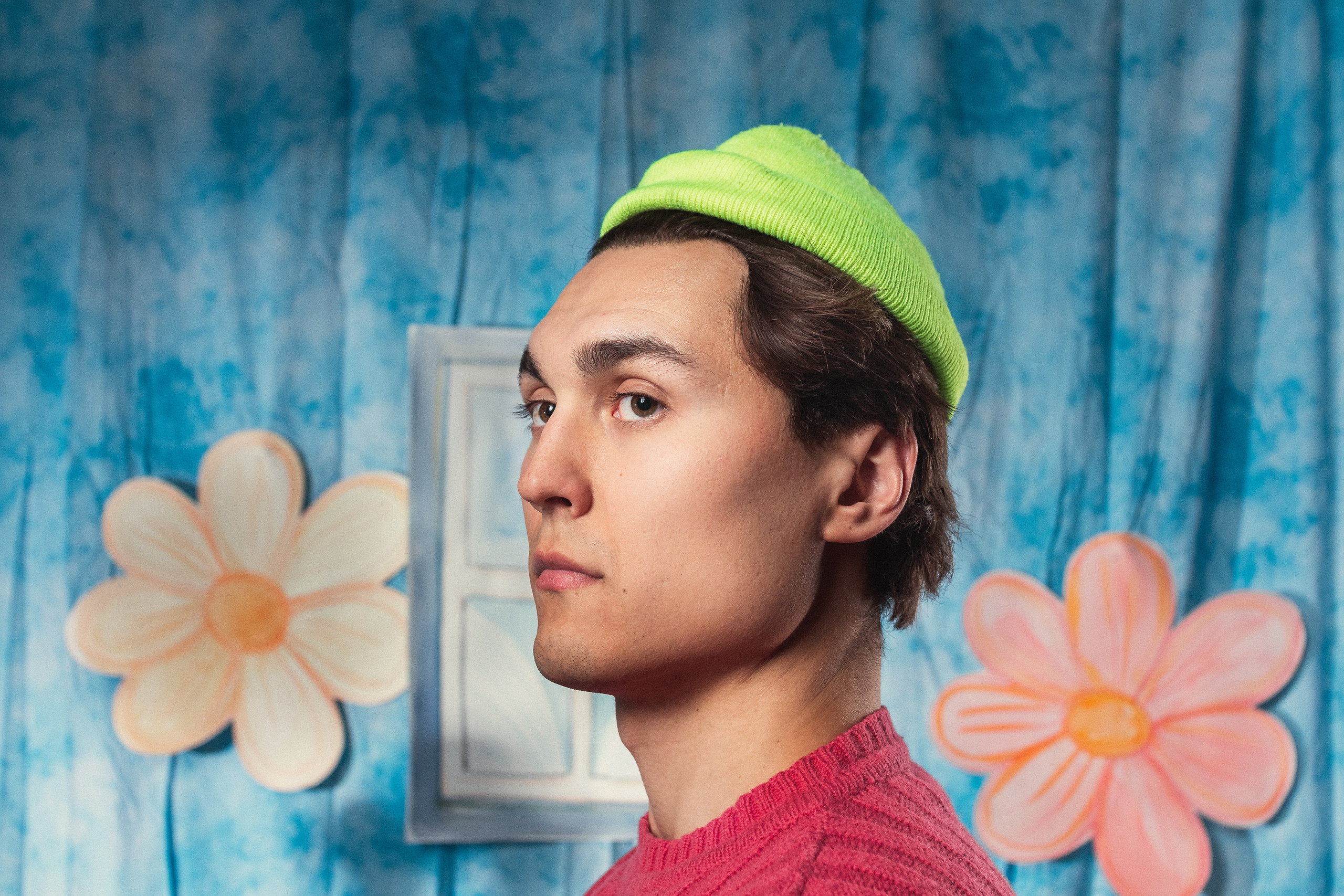 Картонные цветы. Светлана Аброщикова