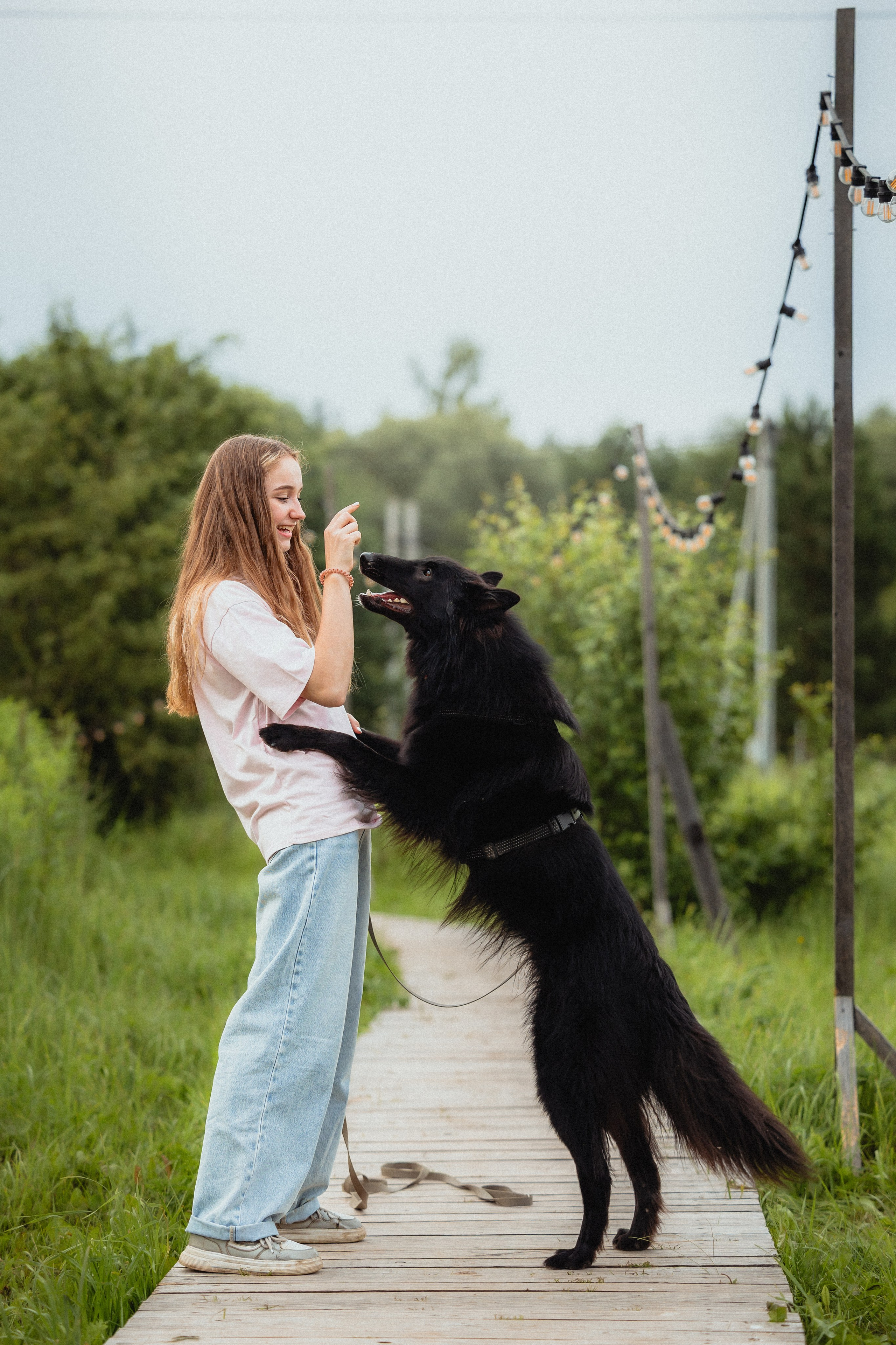 Выездной дог-тренинг от школы «Шерсть имею»