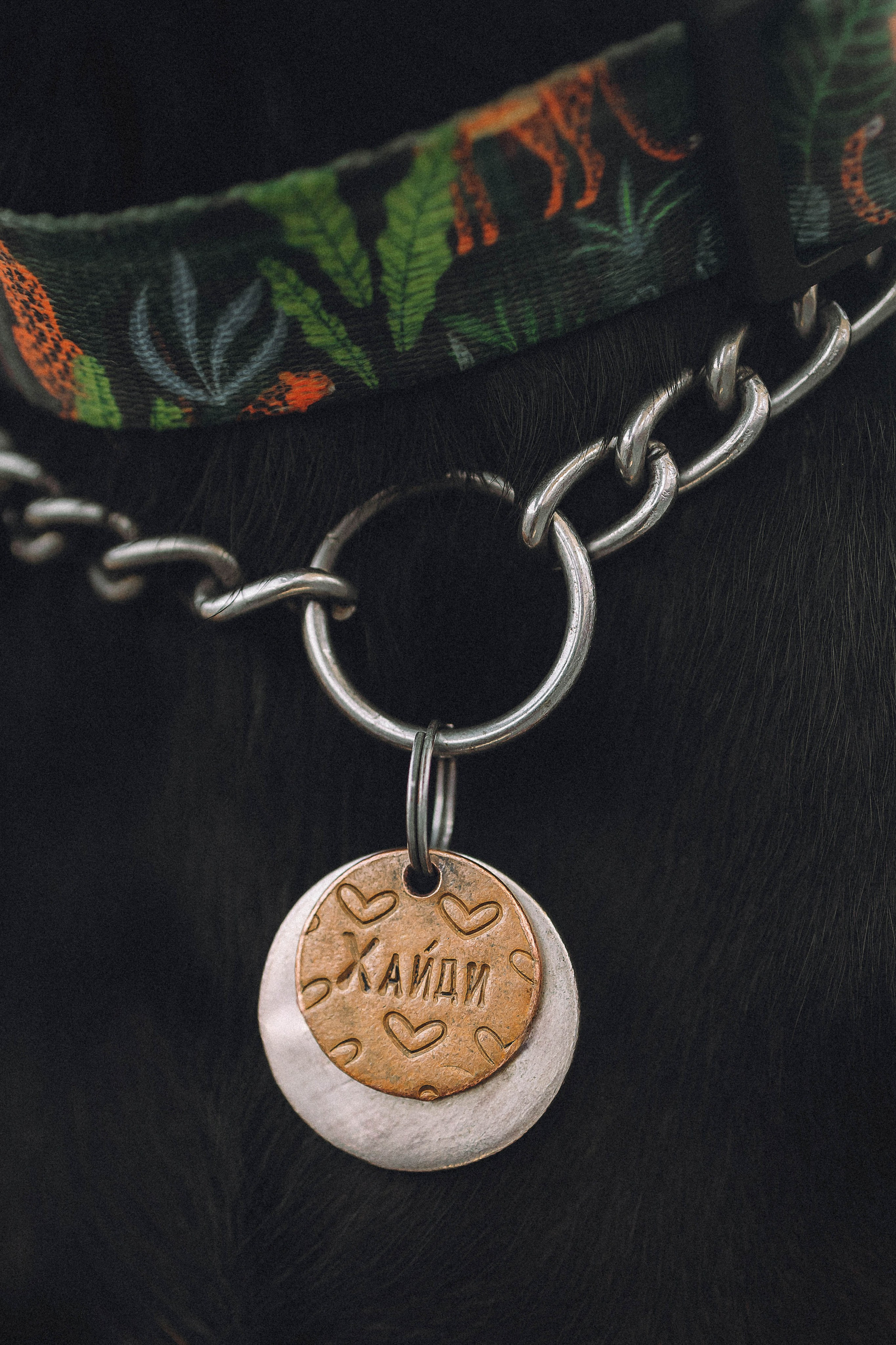 Паша и Хайди