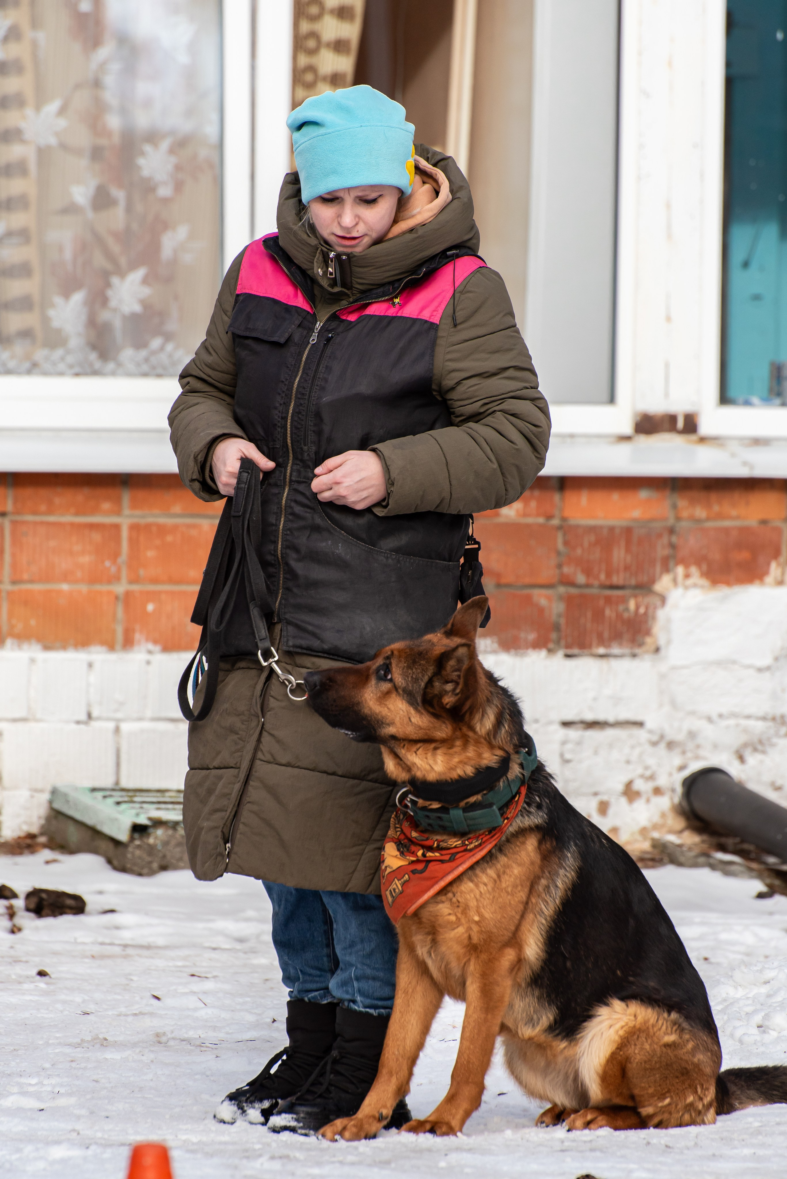 Фотосъёмка с собаками в Кинологическом лагере. Фотограф Макс Огурцов в Нижнем Новгороде