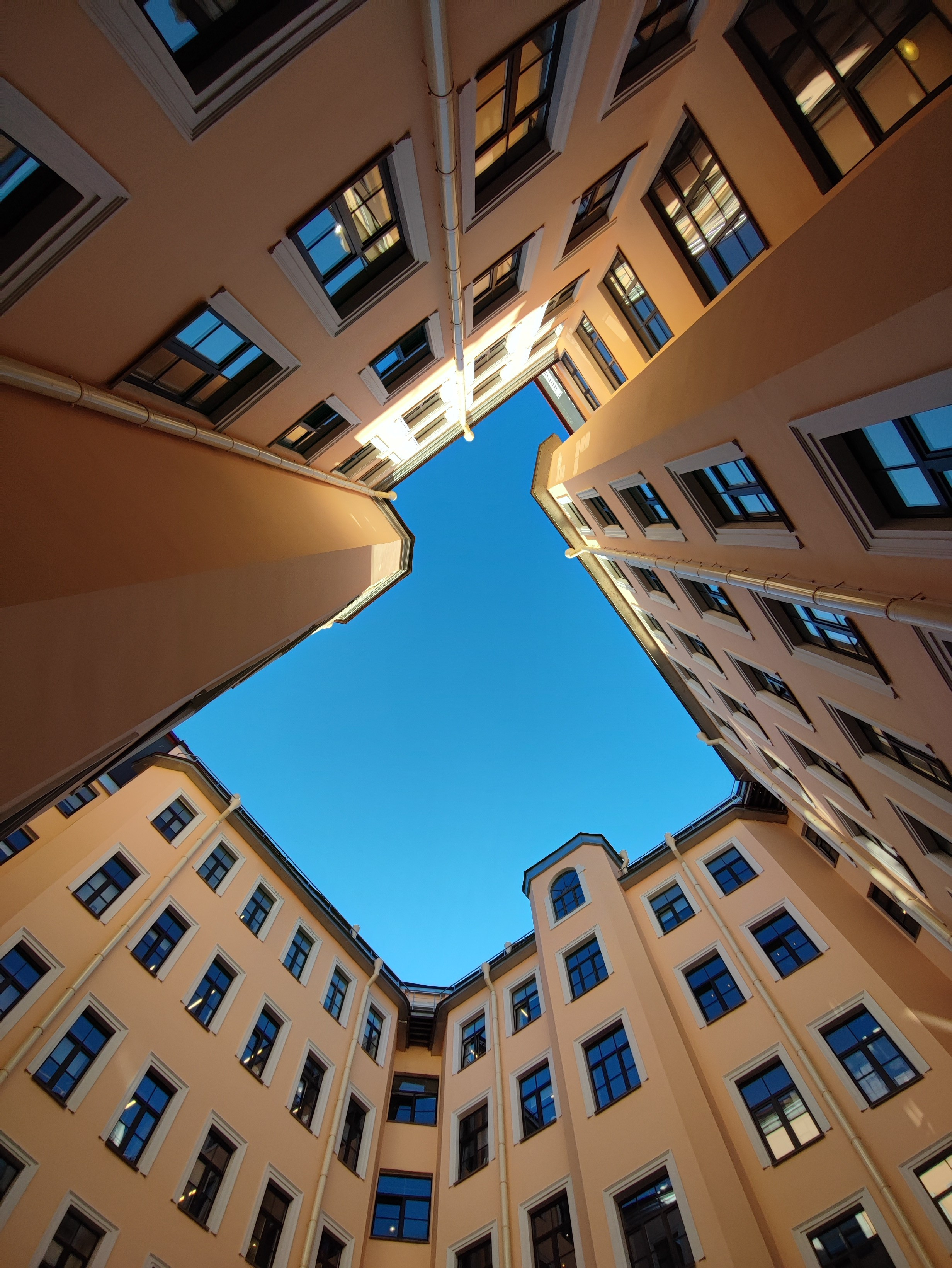 Намобилкус питерский. Репортажный фотограф Алексей Пирязев