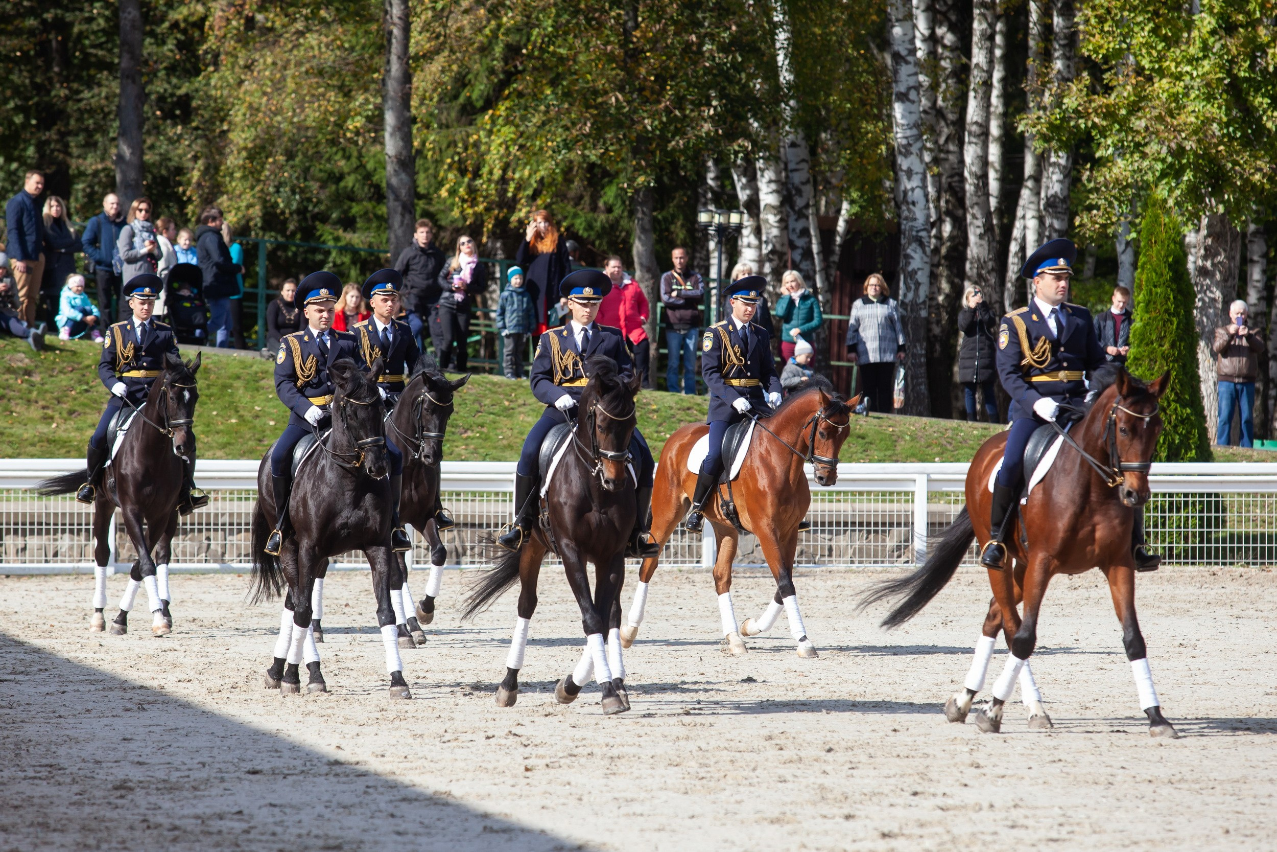 Кубок Губернатора по конкуру (21 сентября 2019). Репортажный фотограф Алексей Пирязев
