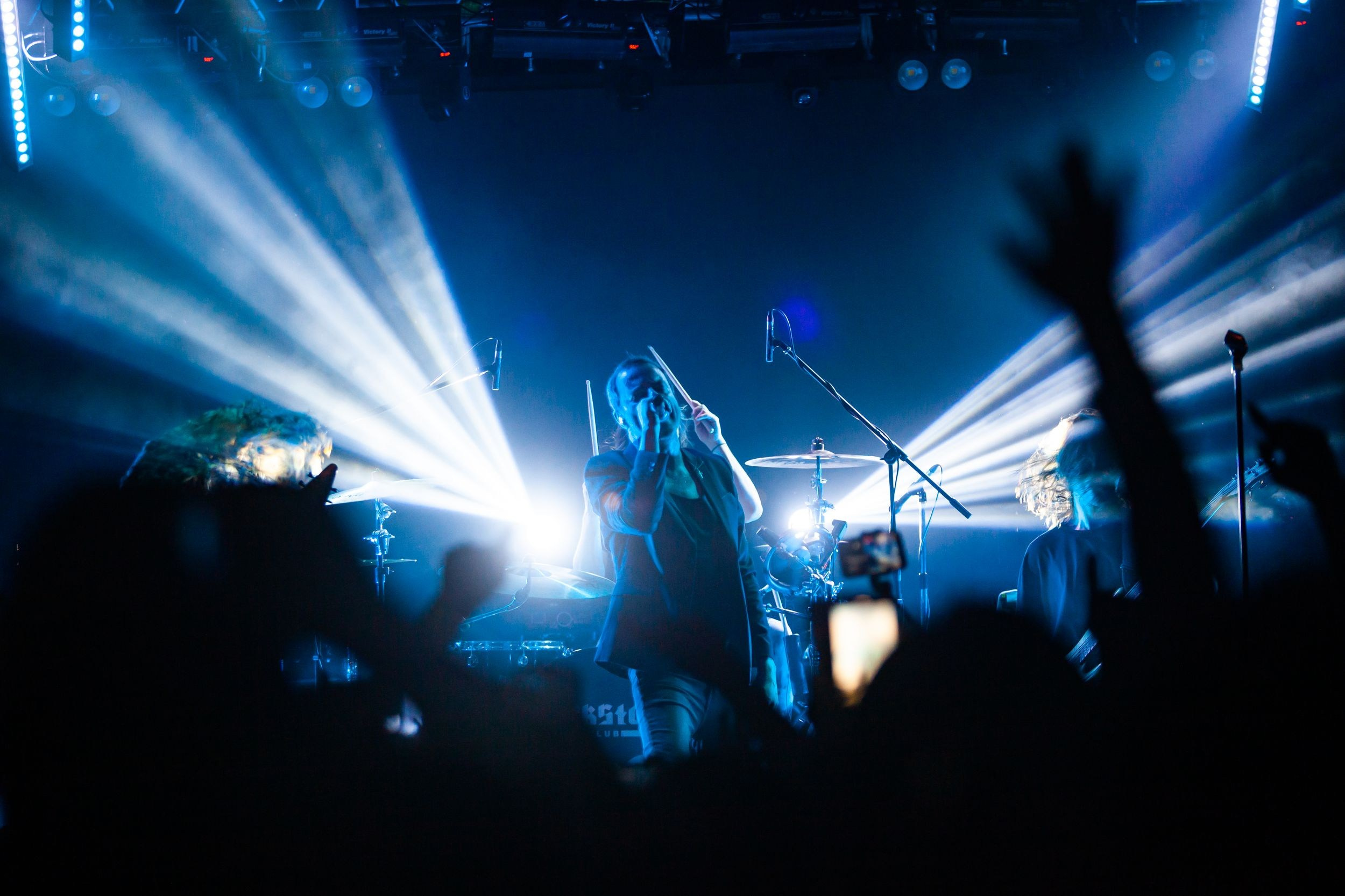 Animal ДжаZ. Репортажный фотограф Алексей Пирязев