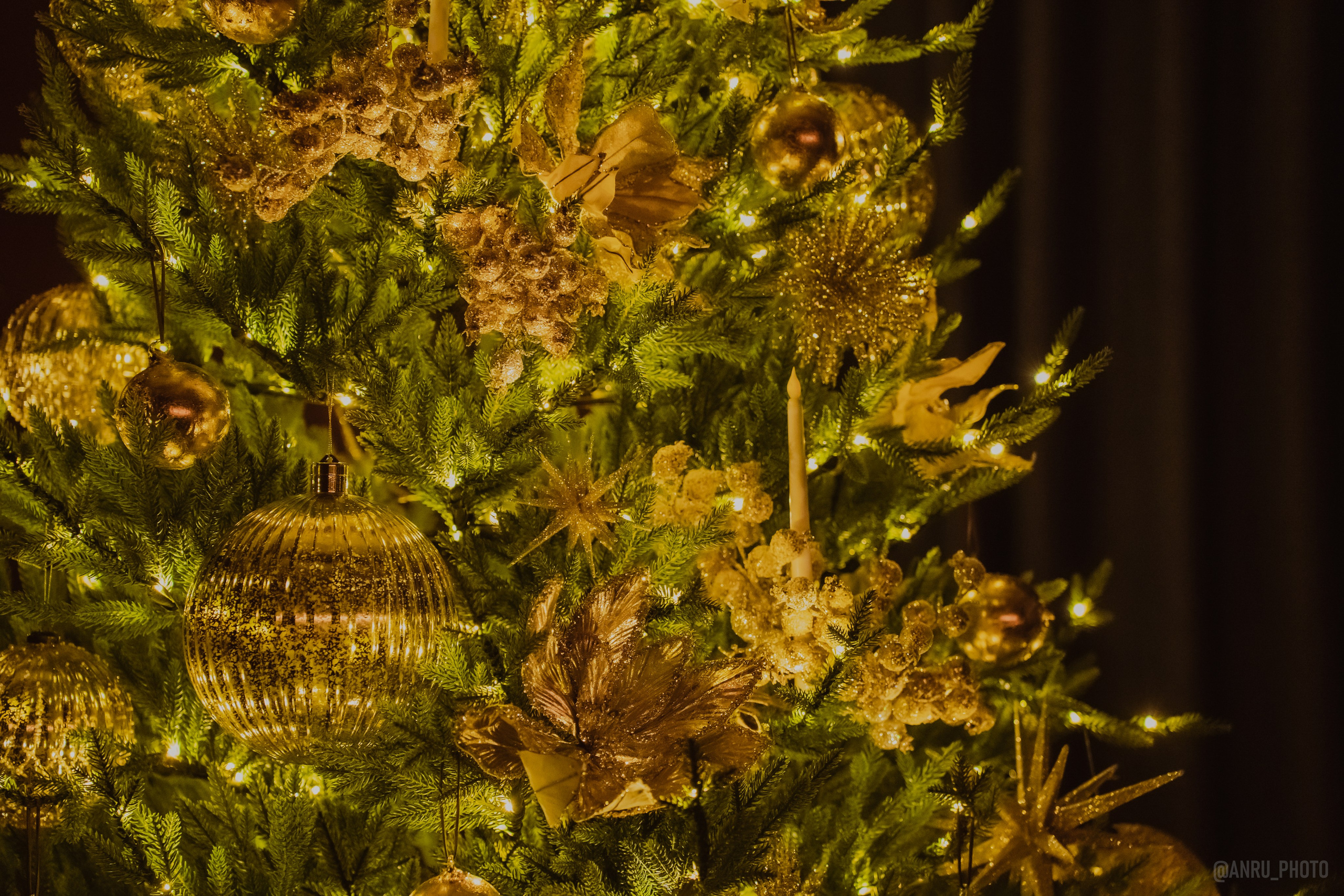 День Альфреда Хичкока. Репортажный фотограф Анастасия Рубцова