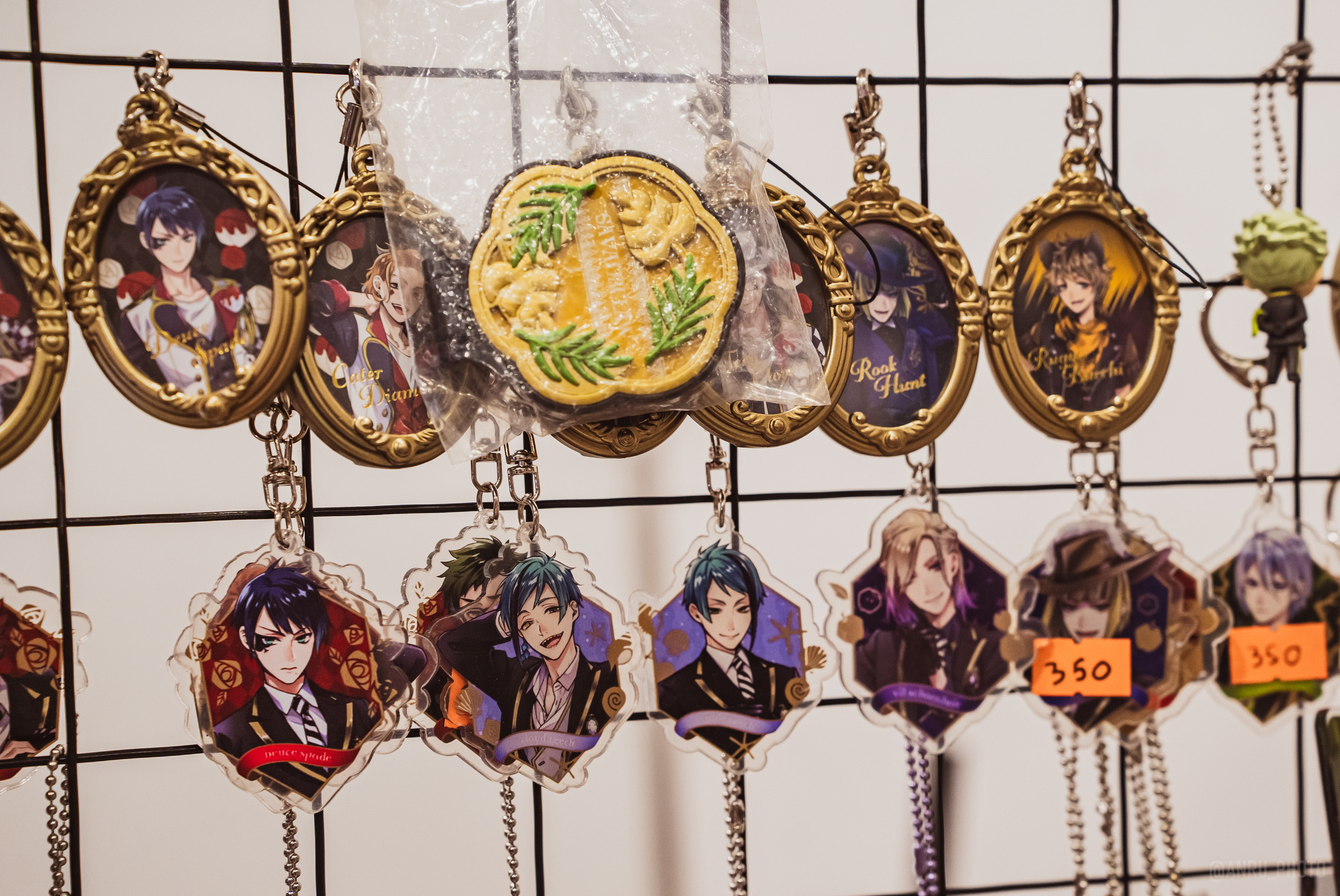 Fox Family fest. Репортажный фотограф Анастасия Рубцова