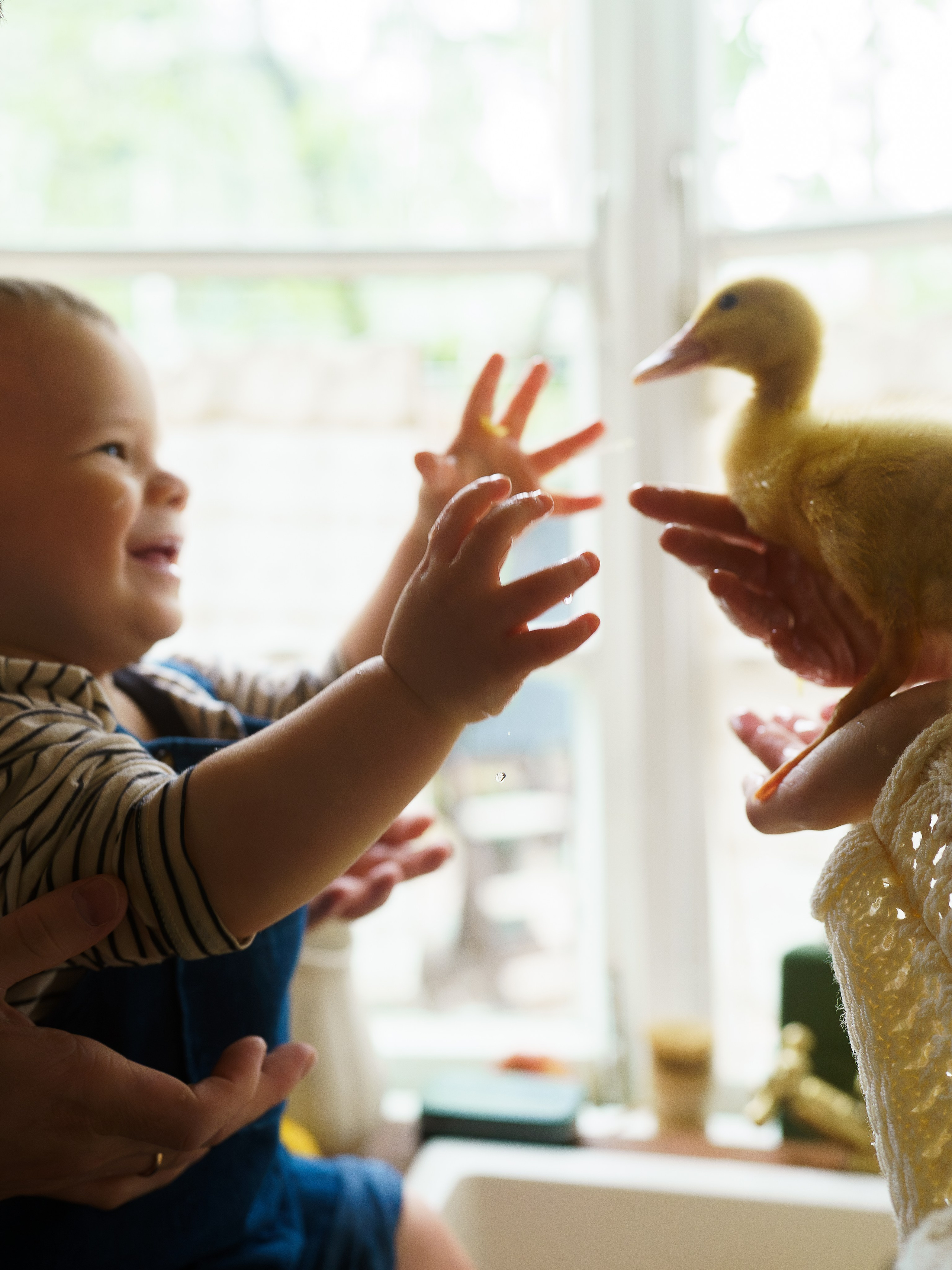 Семейный фотограф, видеограф Микуева Ольга
