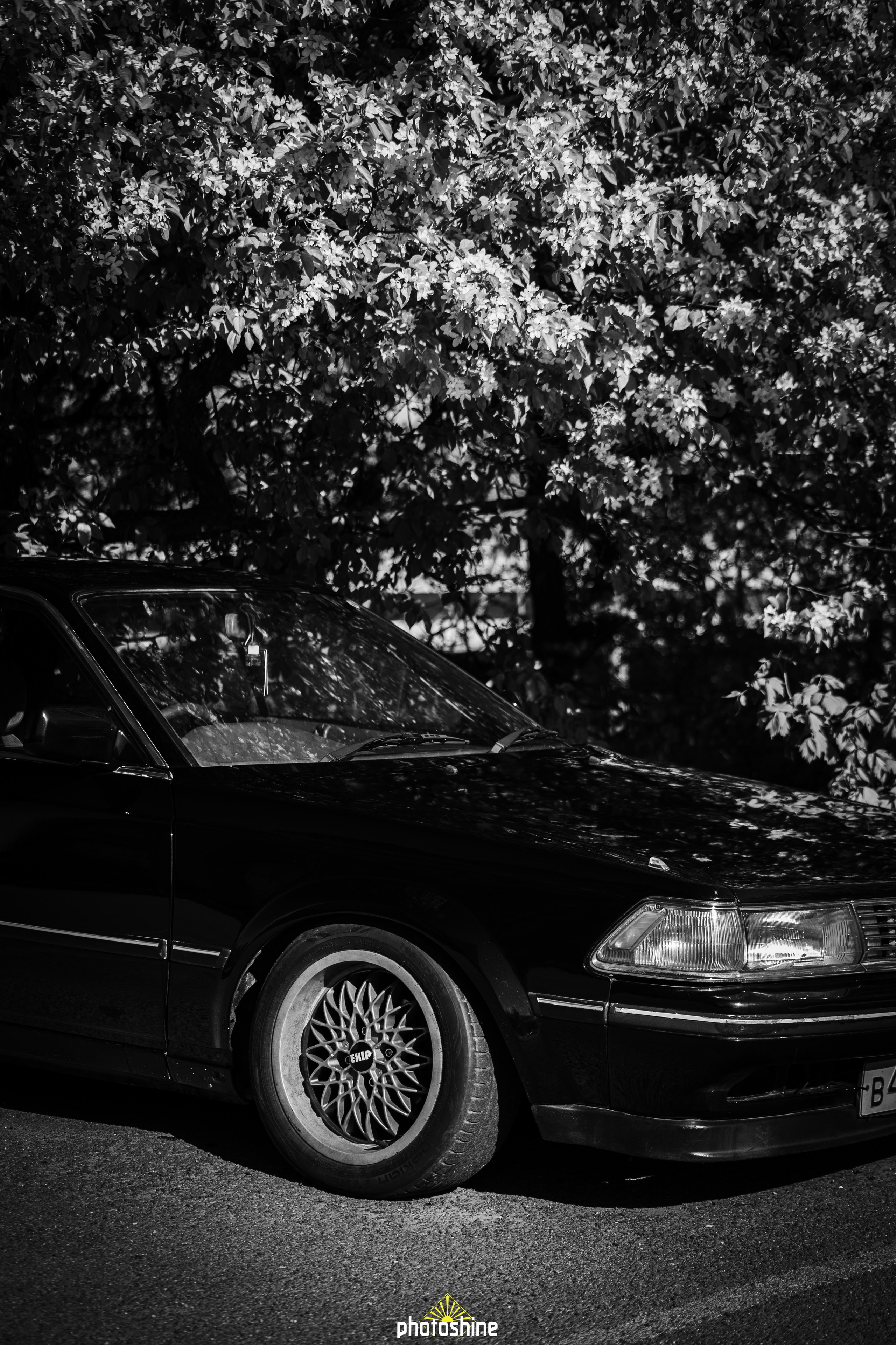 Toyota Carina ED ST160. Photoshine | Оля | Фотограф из Челябинска
