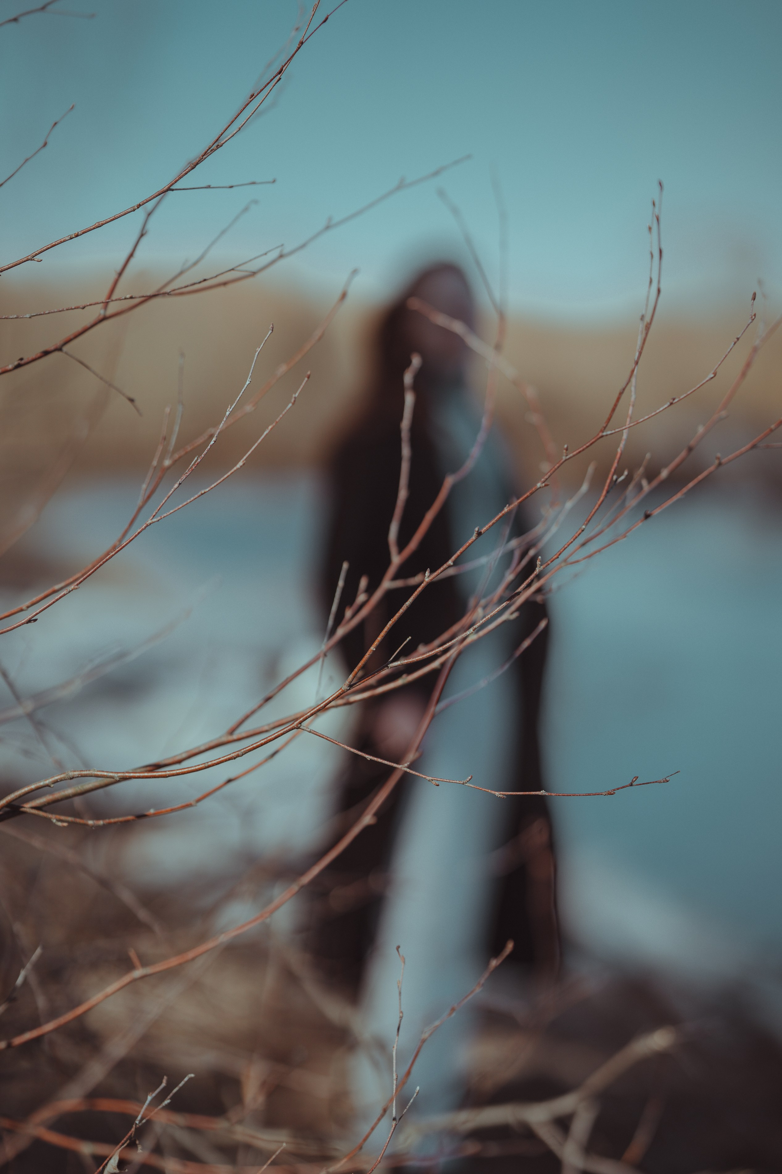 #Весенняя прогулка #когда природа просыпается #Панова Ирина — фотограф. Главная