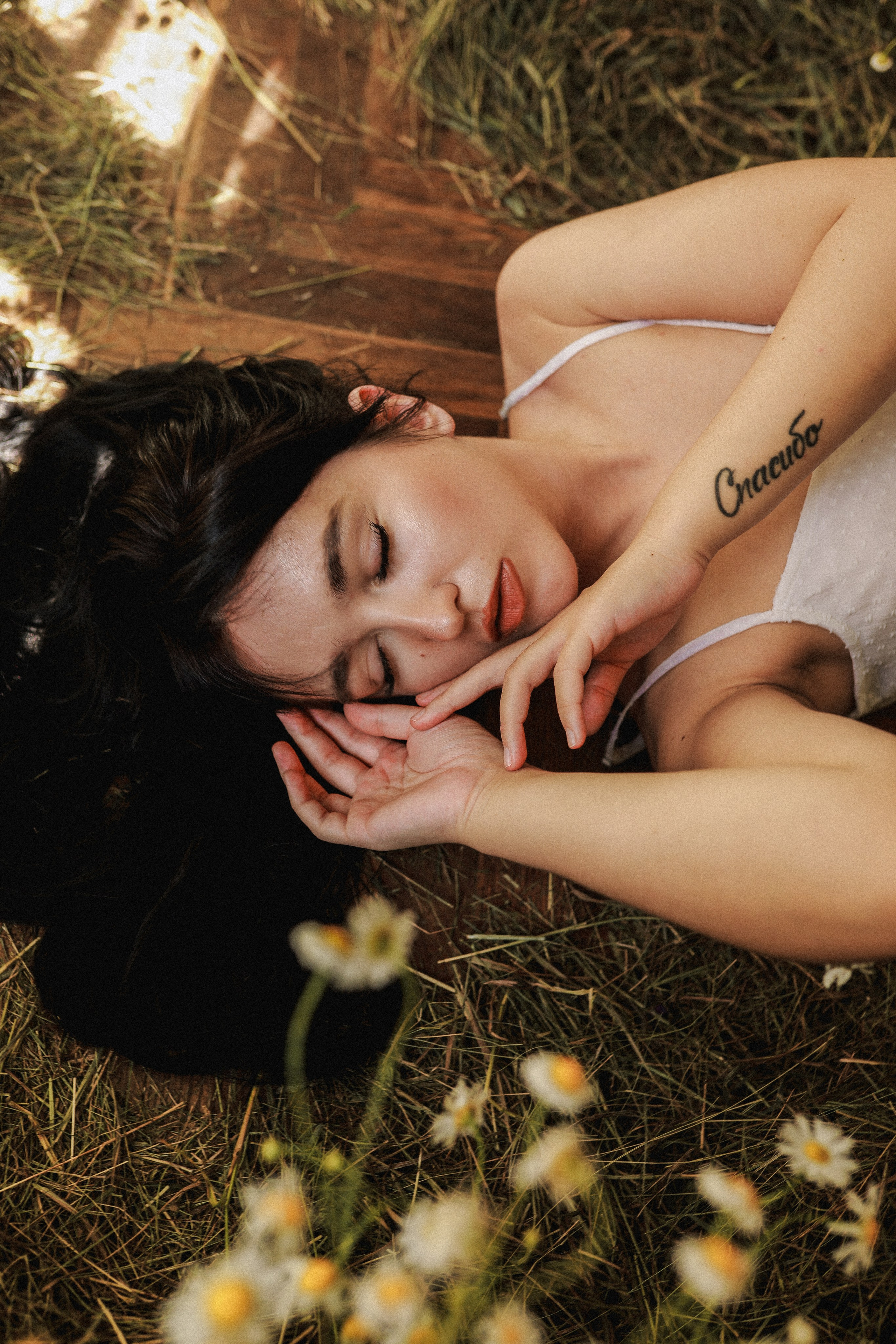 Сон в летнюю ночь | Ромашковое поле