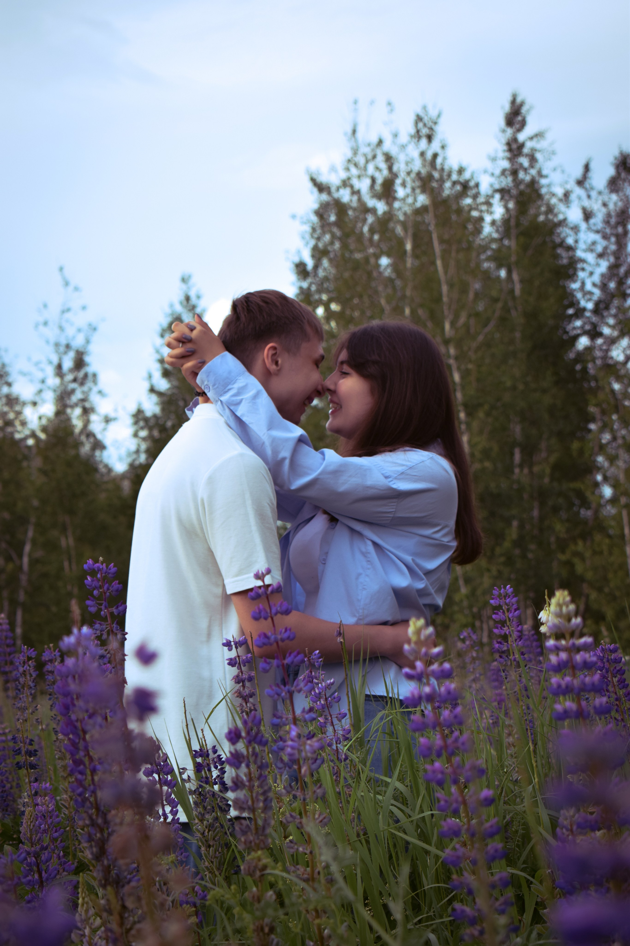 Сьемка в люпинах. Фотограф Москва