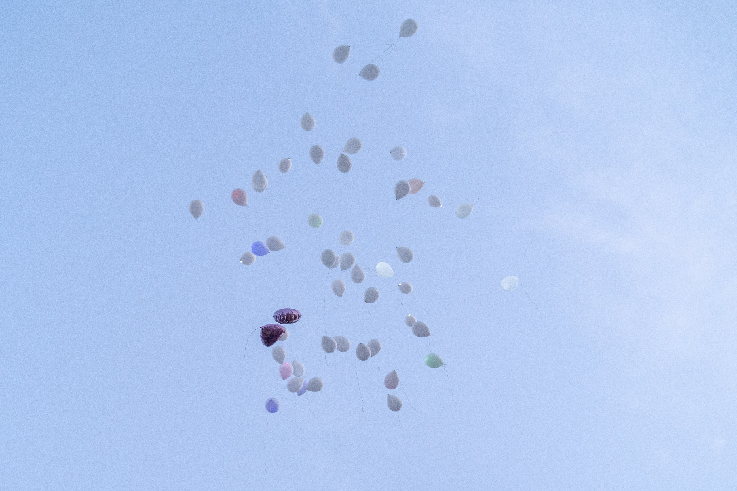 Дмитрий и Вика. Архив