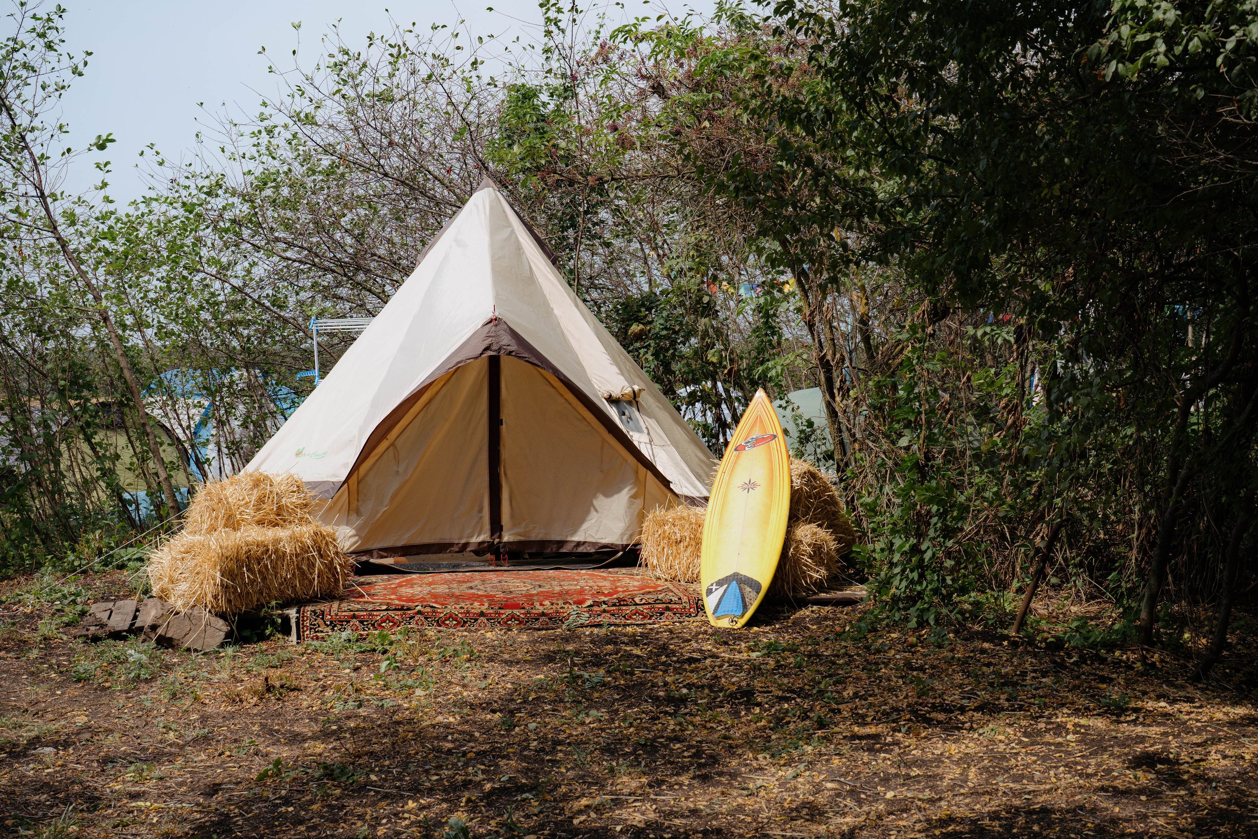 ASS FAMILY | СОН В ДЕРЕВНЕ | АВИАРЕЖИМ 8.0