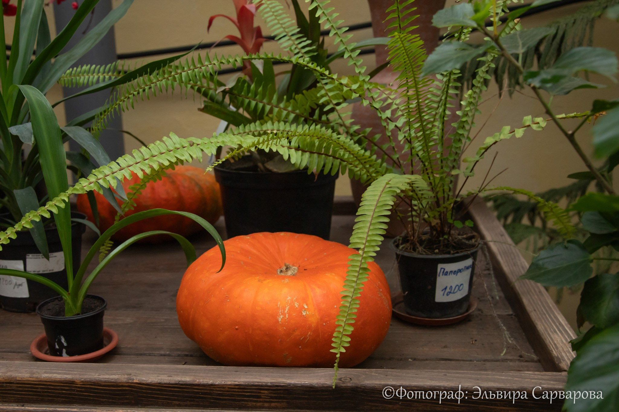 Экскурсия из Бирска для родственников участников СВО. Репортажный Фотограф