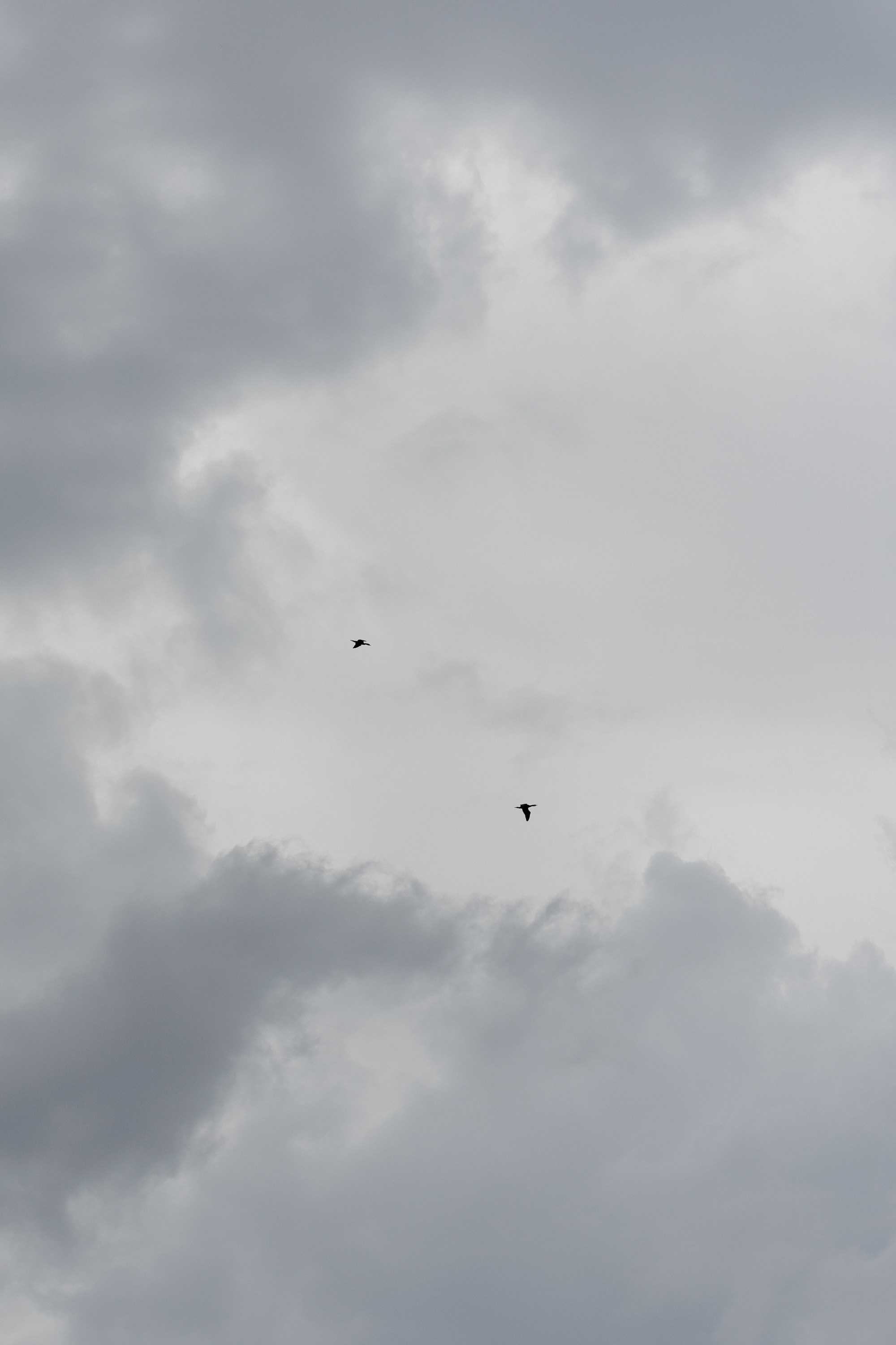 Леонид и Милена. Свадебный фотограф