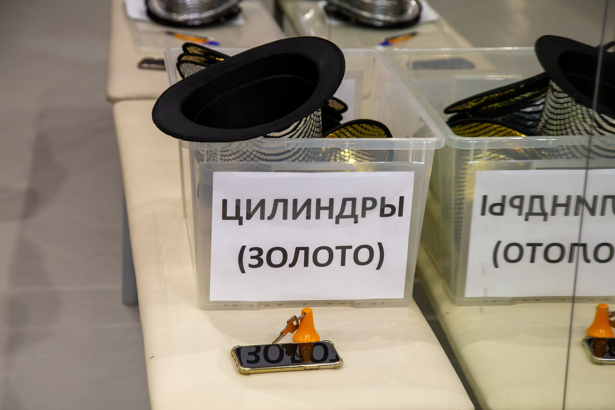 Репортажная съёмка для Домисольки на новый год. «Студия DRONAVT`s» — видеосъёмка и фотография г. Москва