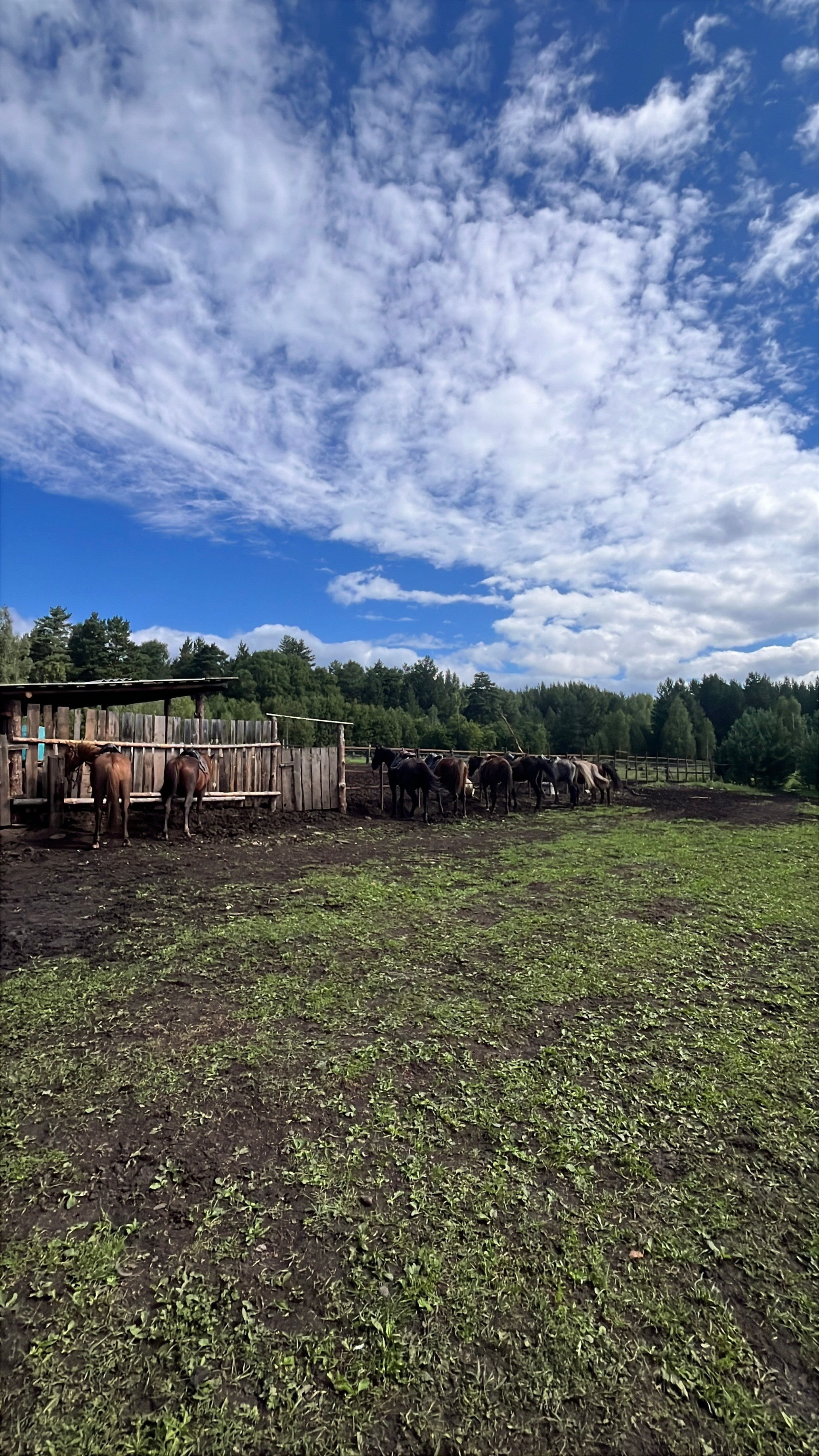 Фото с конных туров — Время приключений