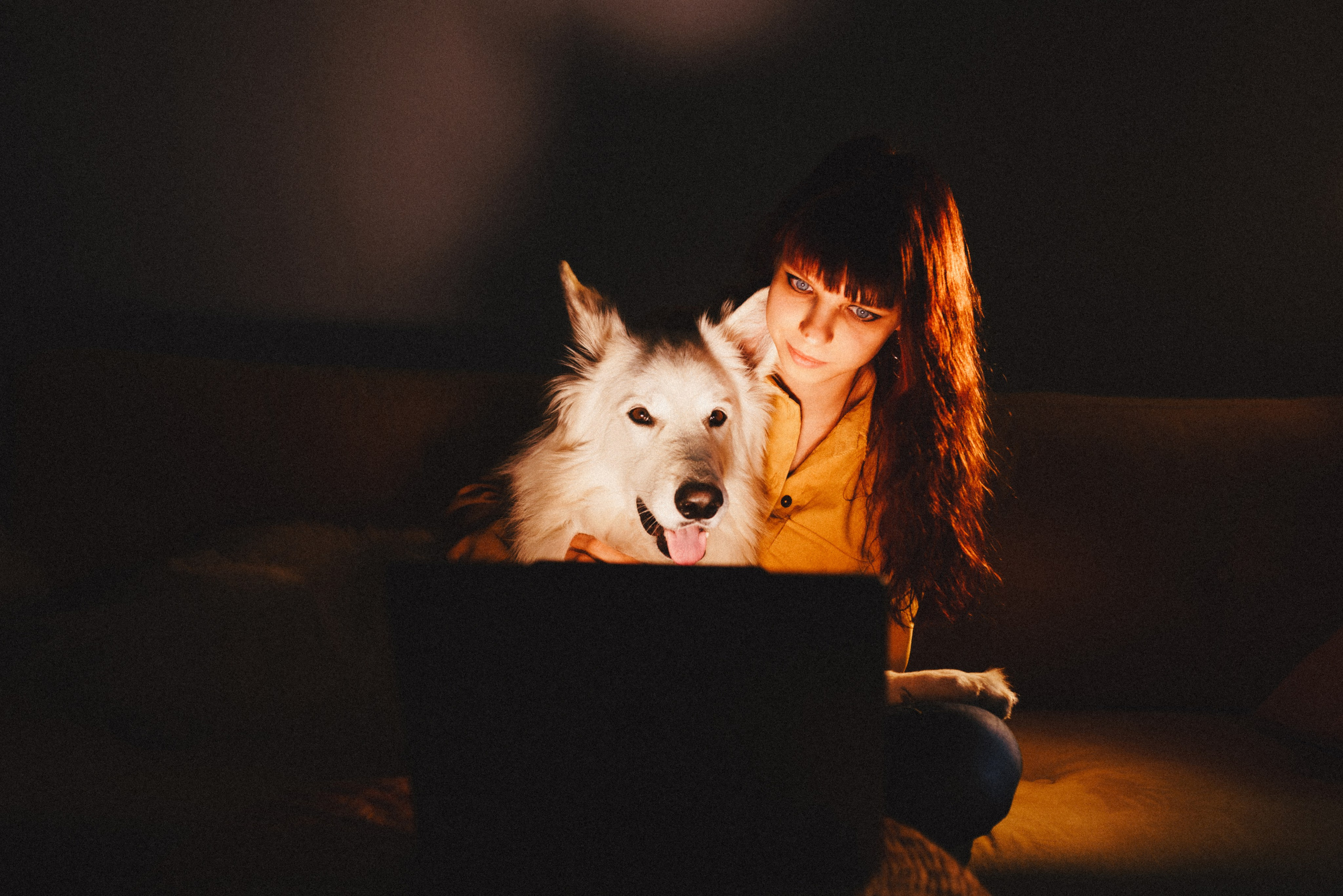 Курсы на фотографа-анималиста