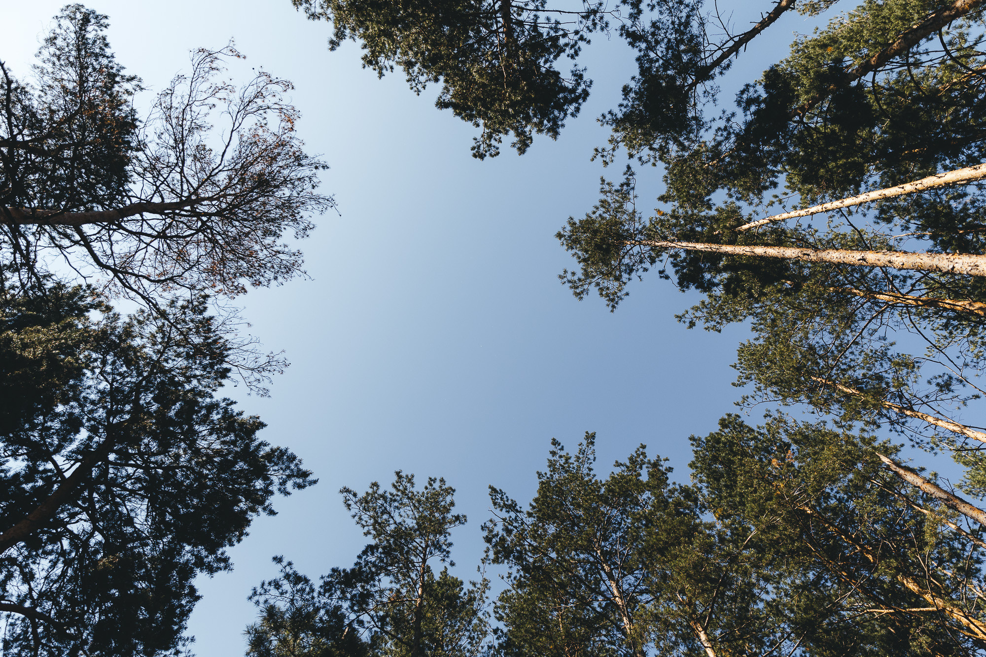 Локации для съёмок. Свадебный и репортажный фотограф Евгений Петров
